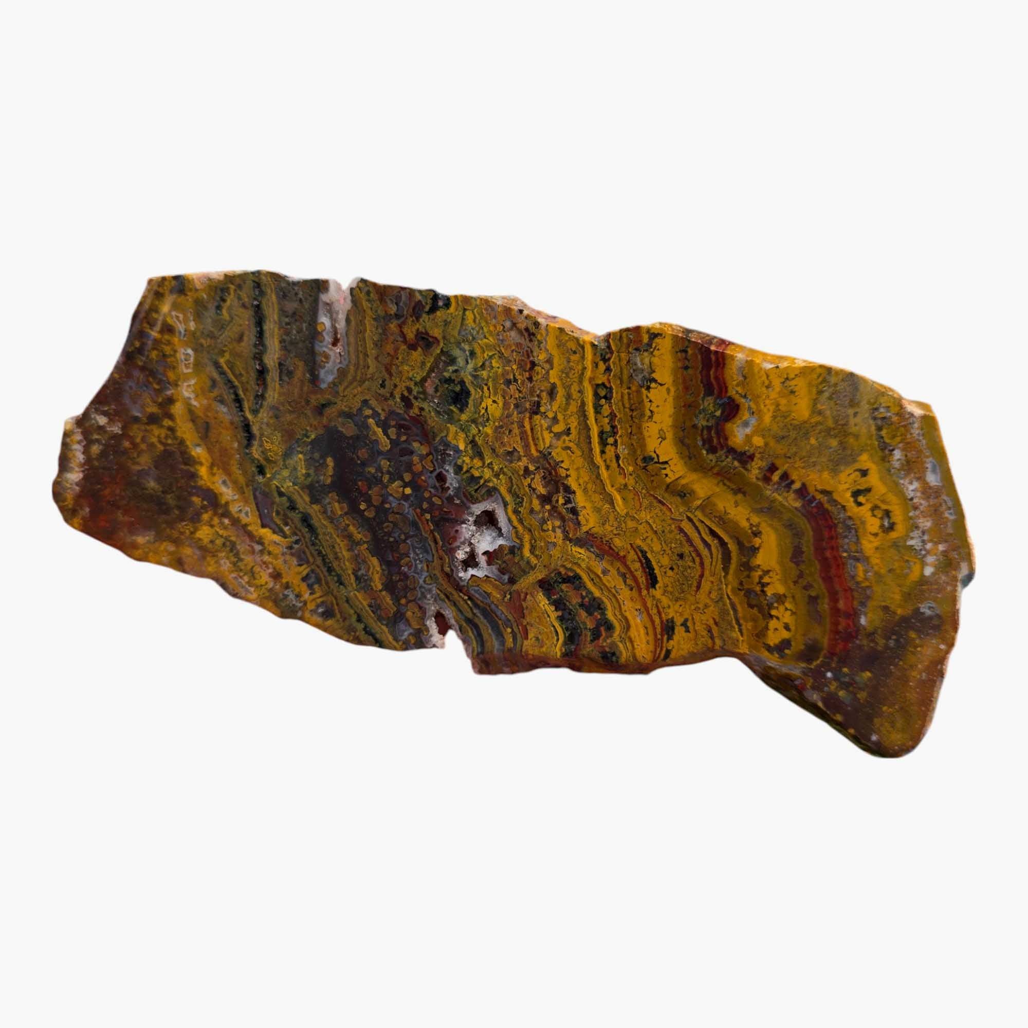 Apple Valley Jasper – Fossil Stromatolite from Morocco’s Sahara Desert