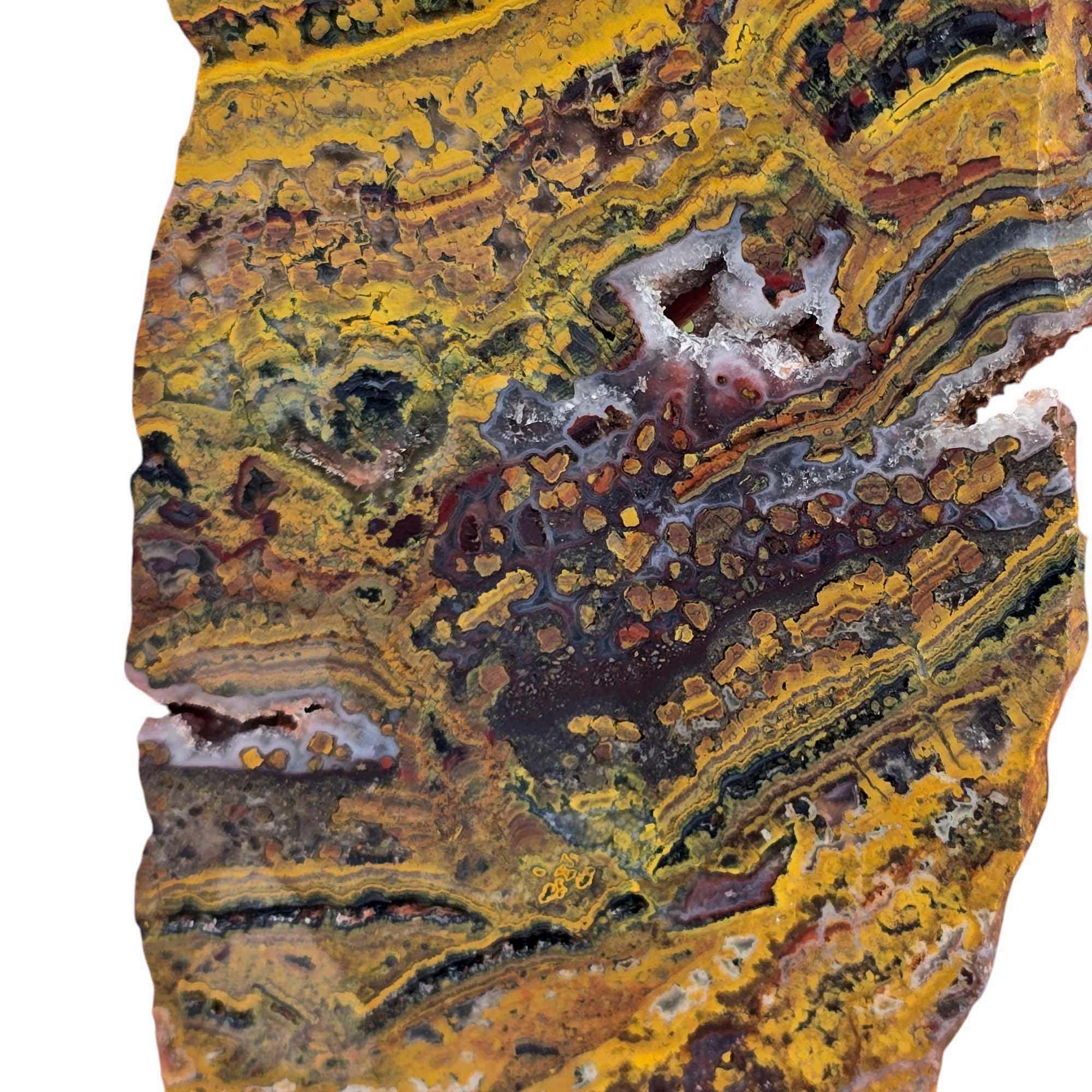 Apple Valley Jasper – Fossil Stromatolite from Morocco’s Sahara Desert