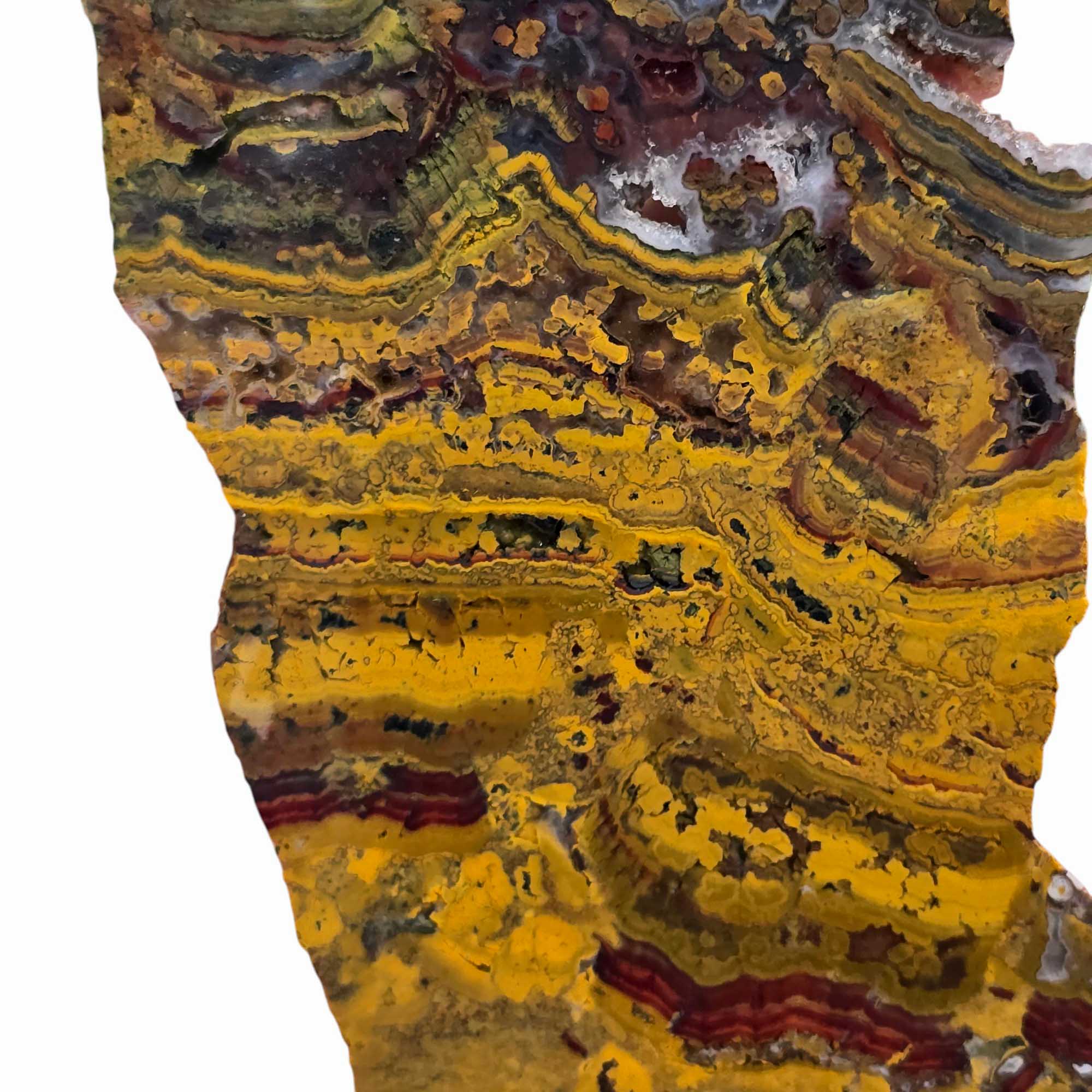 Apple Valley Jasper – Fossil Stromatolite from Morocco’s Sahara Desert