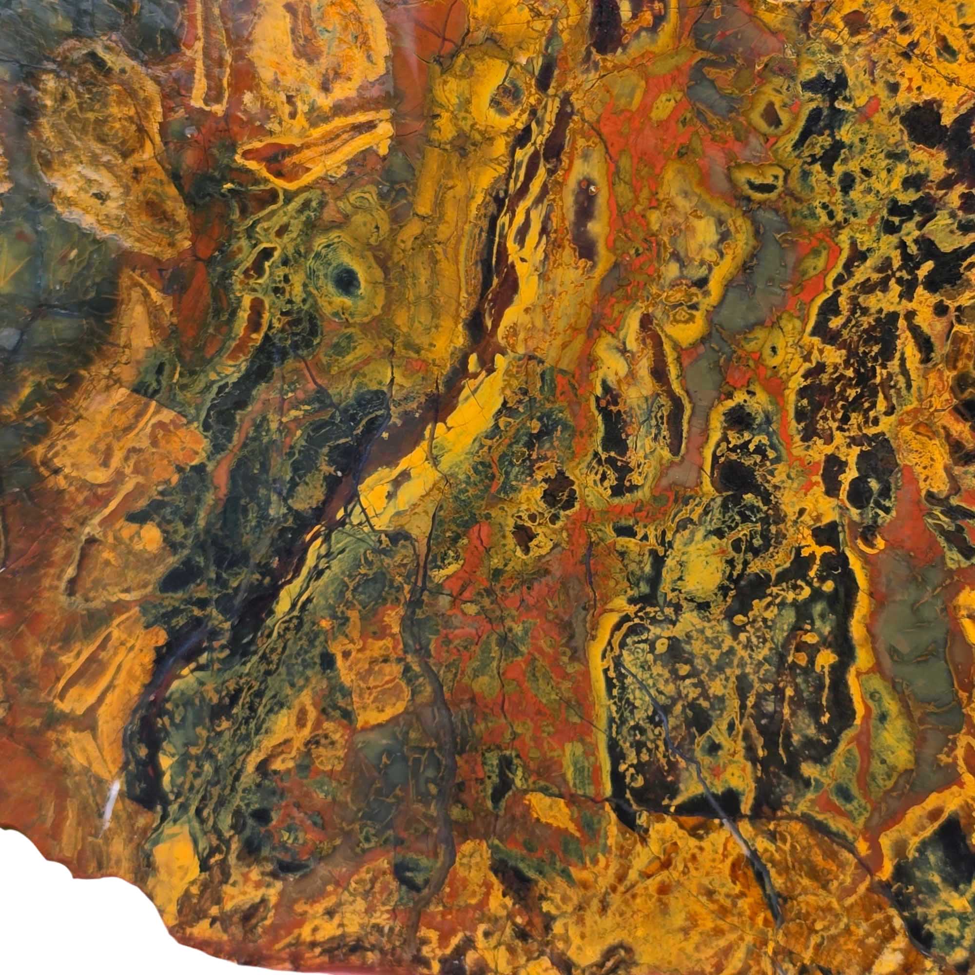 Kaleidoscope Jasper – Rare Jurassic Jasper Variety, Now Depleted
