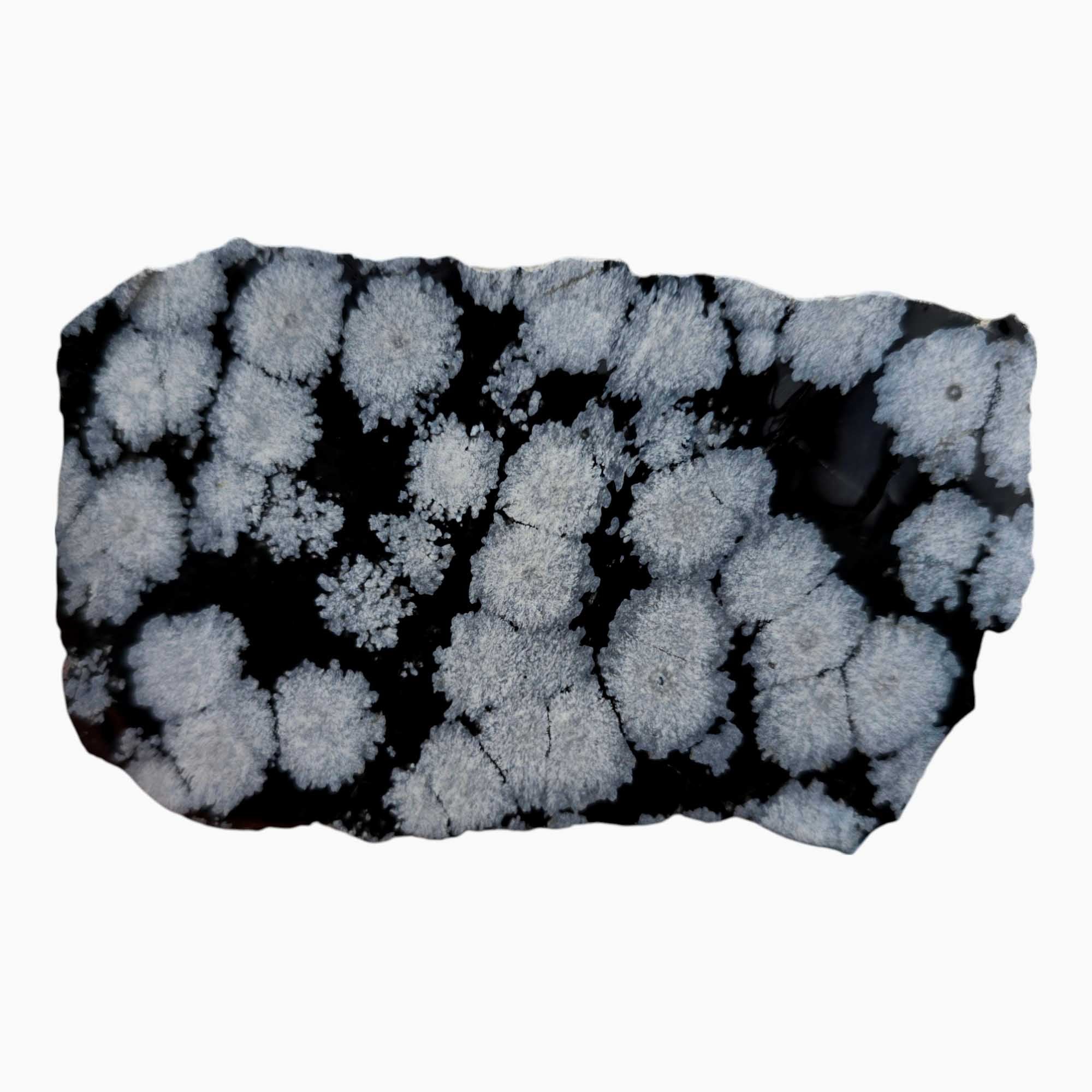 Snowflake Obsidian Slab – Gem Quality Material from Utah for Lapidary