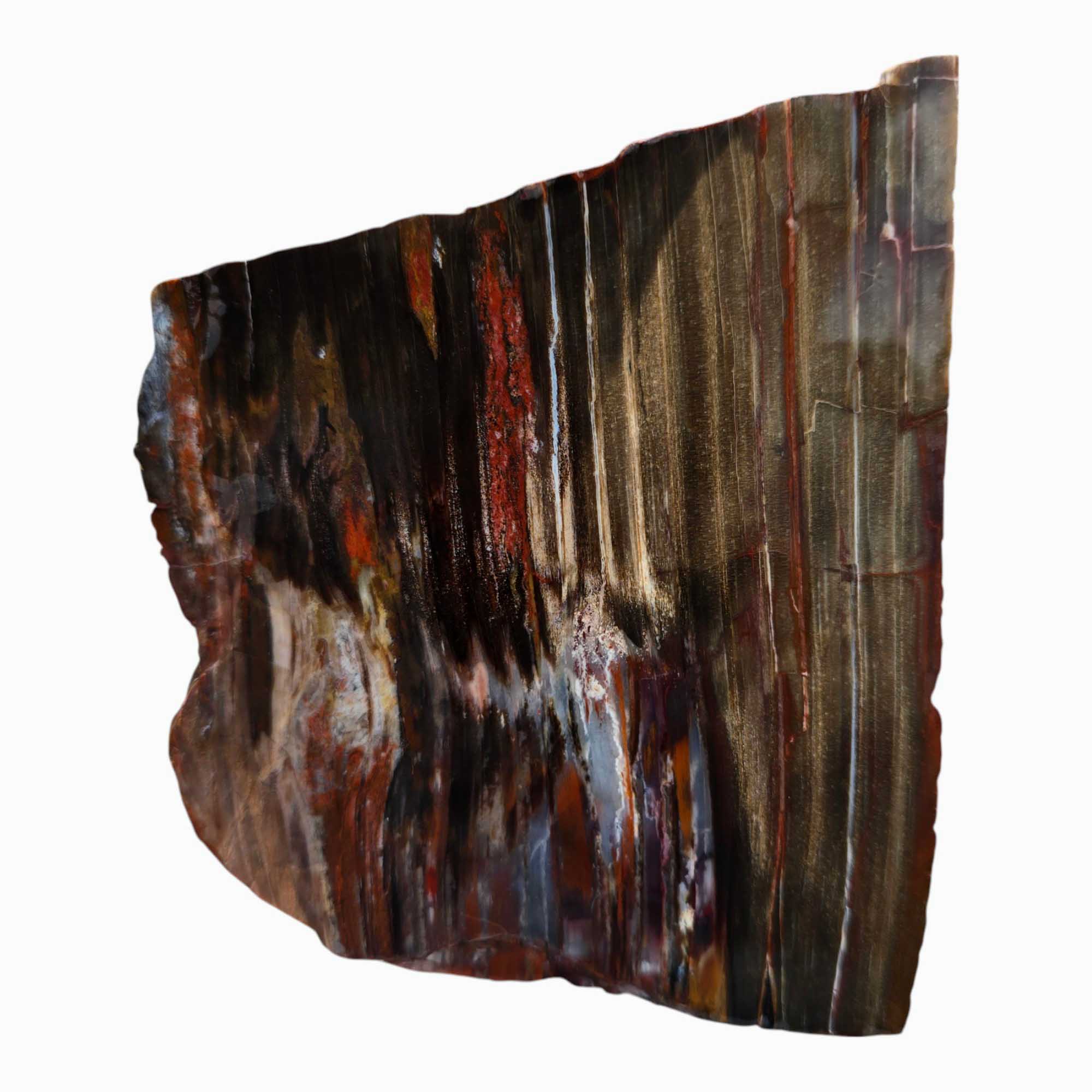 Mystery Petrified Wood Slab – Earthy Fossil Wood Polished Wet #3528-Photo2