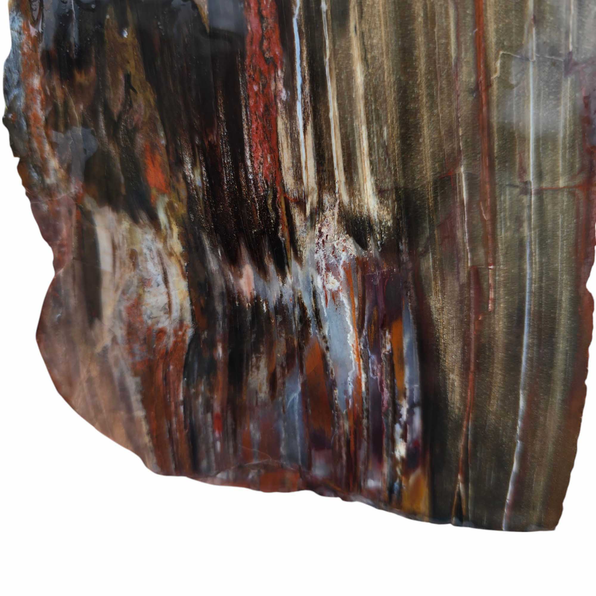 Mystery Petrified Wood Slab – Earthy Fossil Wood Polished Wet #3528-Photo3