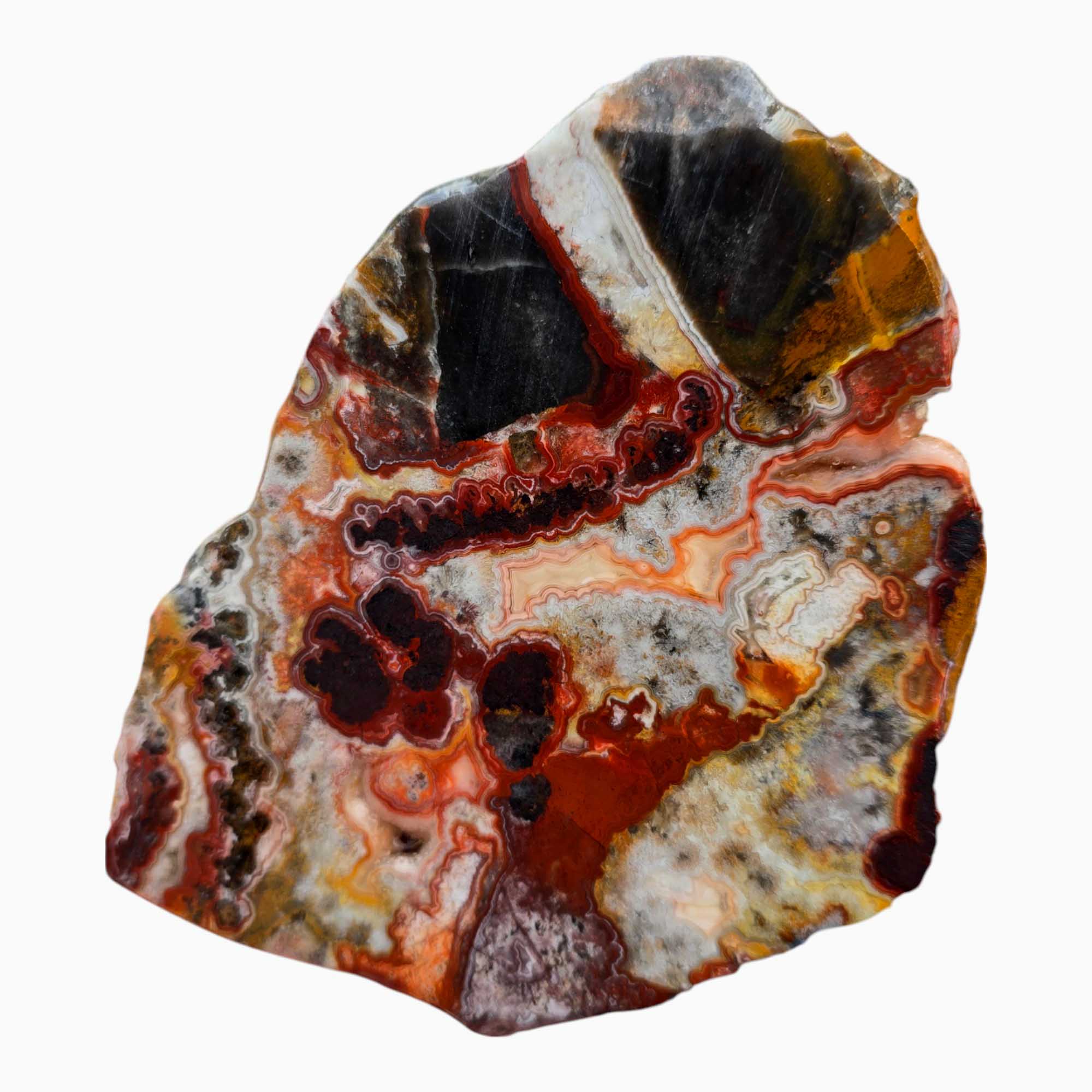 Crazy Lace Agate – Mexican Banded Agate with Rare Laguna Red Highlights