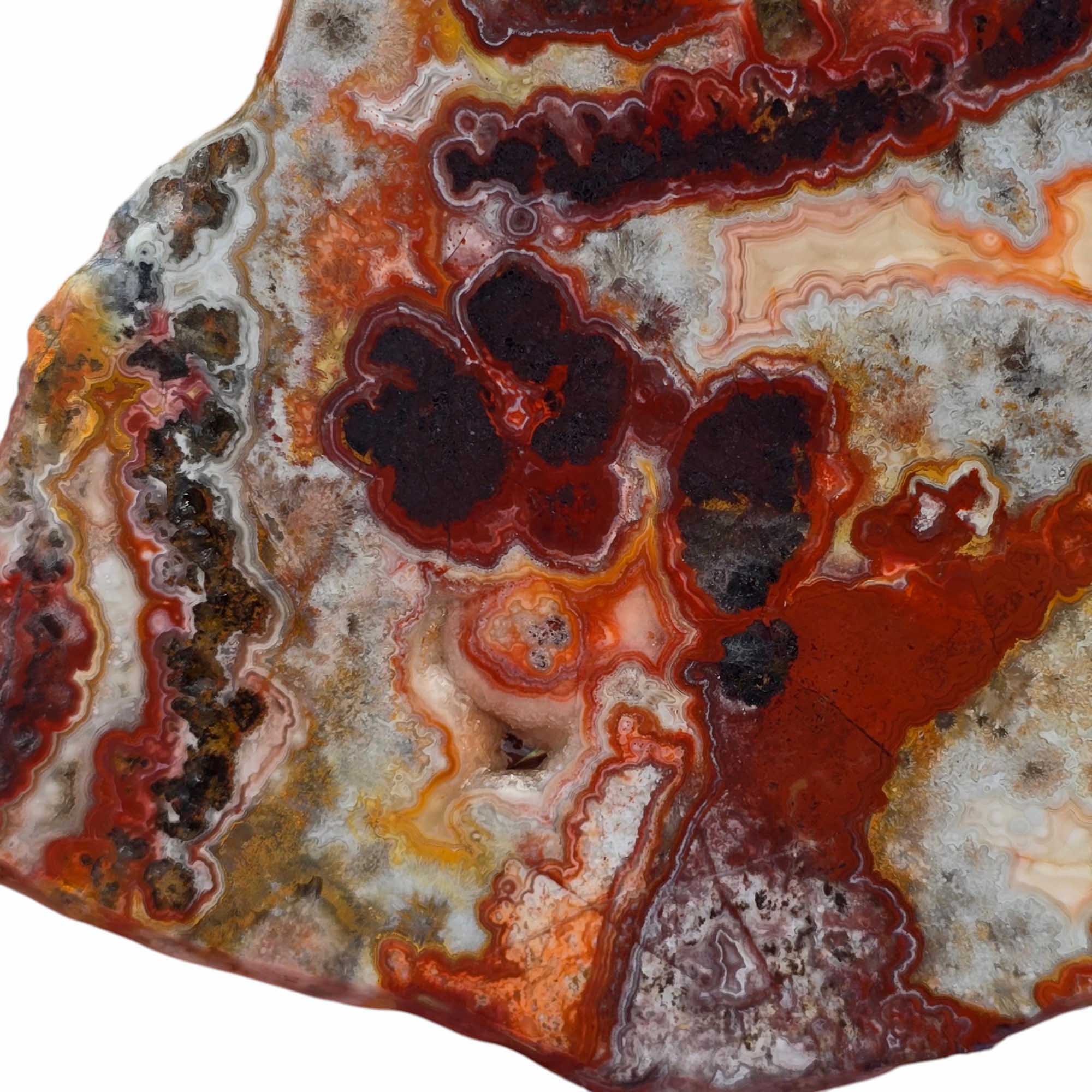 Crazy Lace Agate – Mexican Banded Agate with Rare Laguna Red Highlights