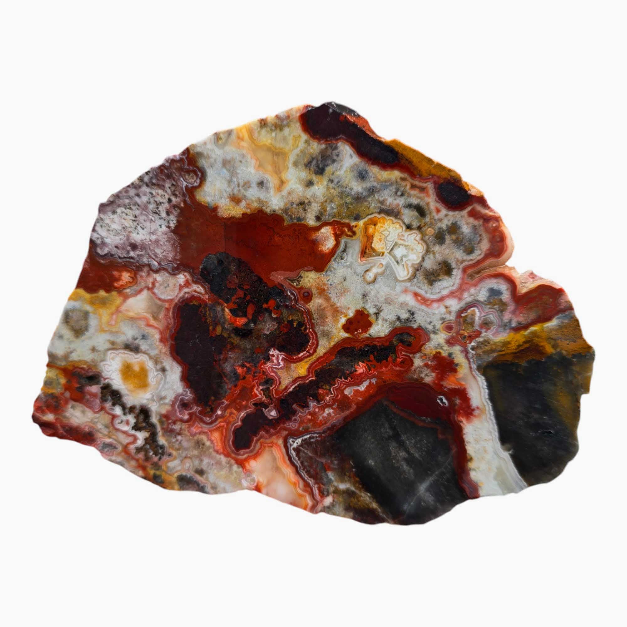 Crazy Lace Agate – Mexican Banded Agate with Rare Laguna Red Highlights