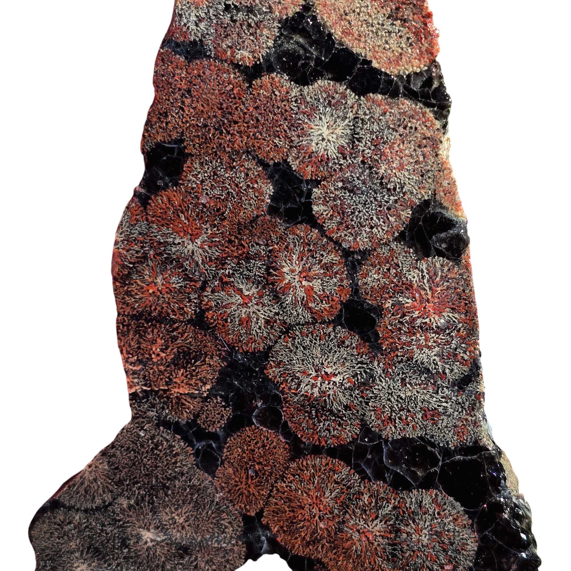 Fireworks Obsidian Slab – Colorful Patterned Volcanic Glass from Mexico