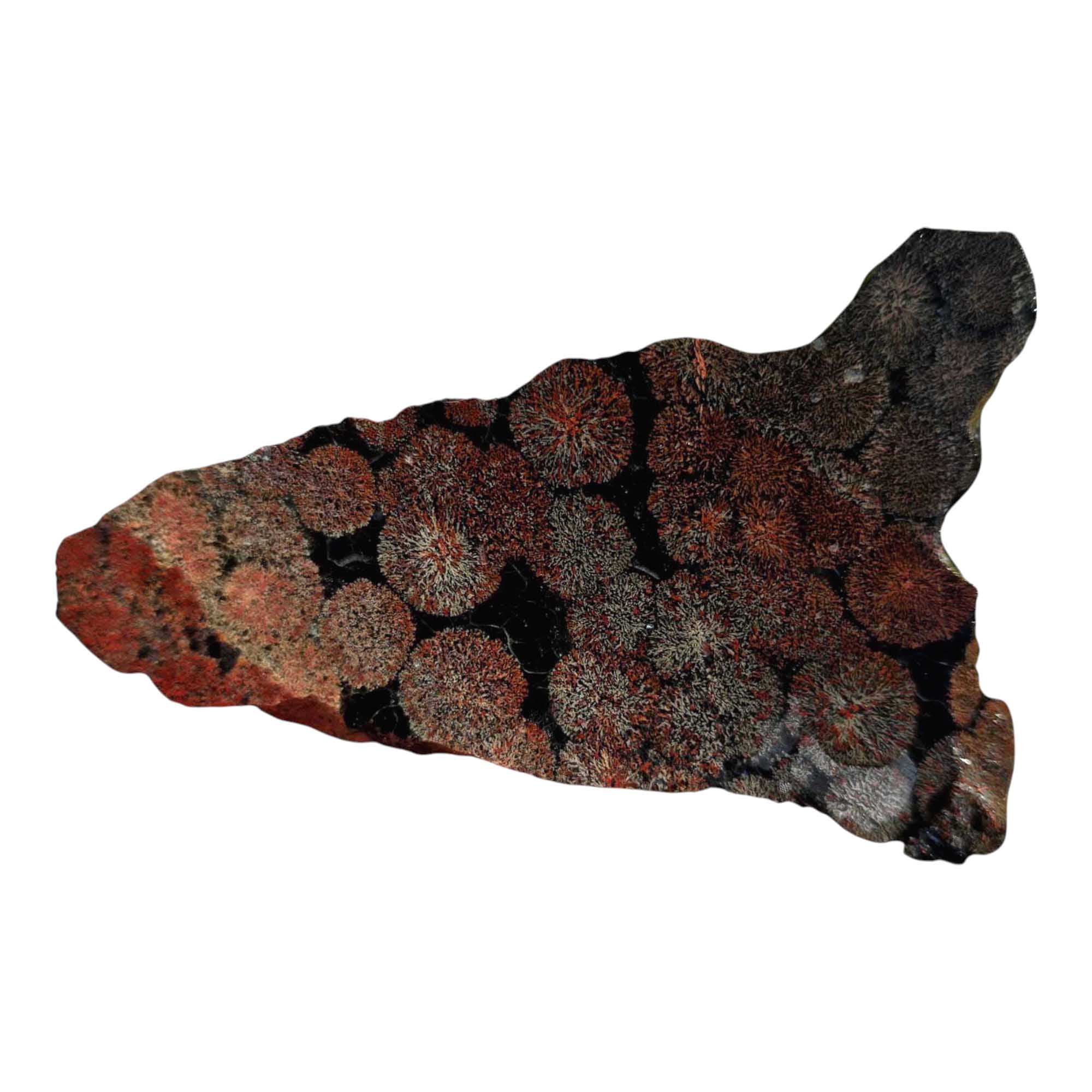 Fireworks Obsidian Slab – Colorful Patterned Volcanic Glass from Mexico