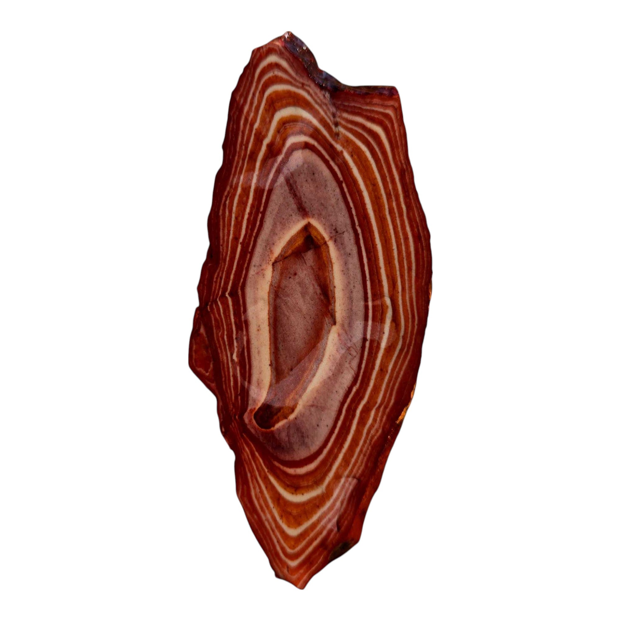 Nevada Wonderstone Slab – Bullseye Pattern Lapidary Stone from the USA