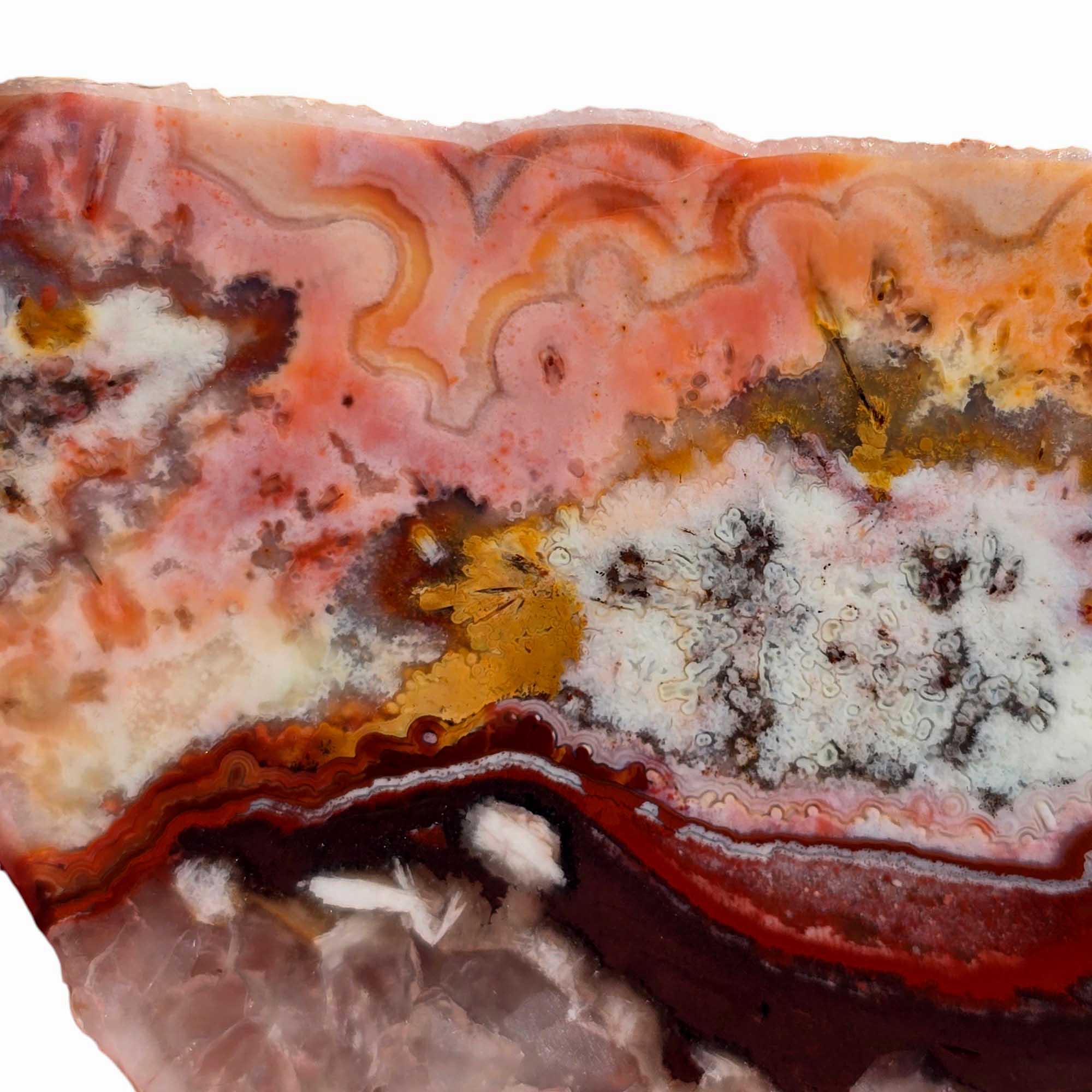 Flor de Durazno Agate Slab – Flower of Peach from Depleted Mexican Vein