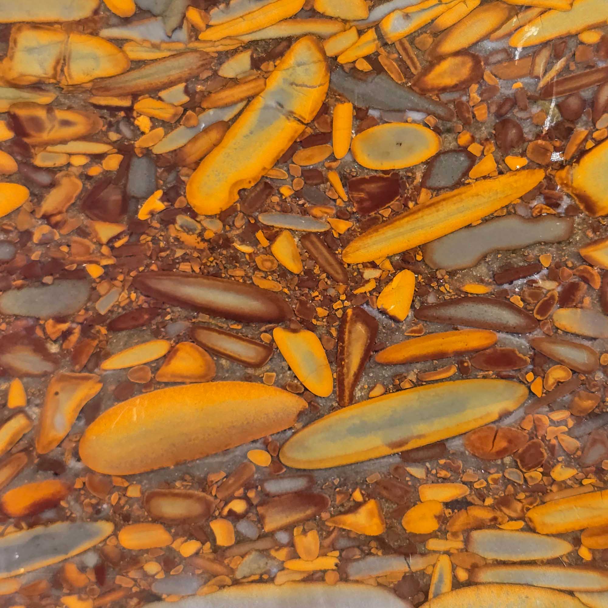 Bamboo Jasper Slab – Indonesian Picture Jasper for Lapidary or Art Display