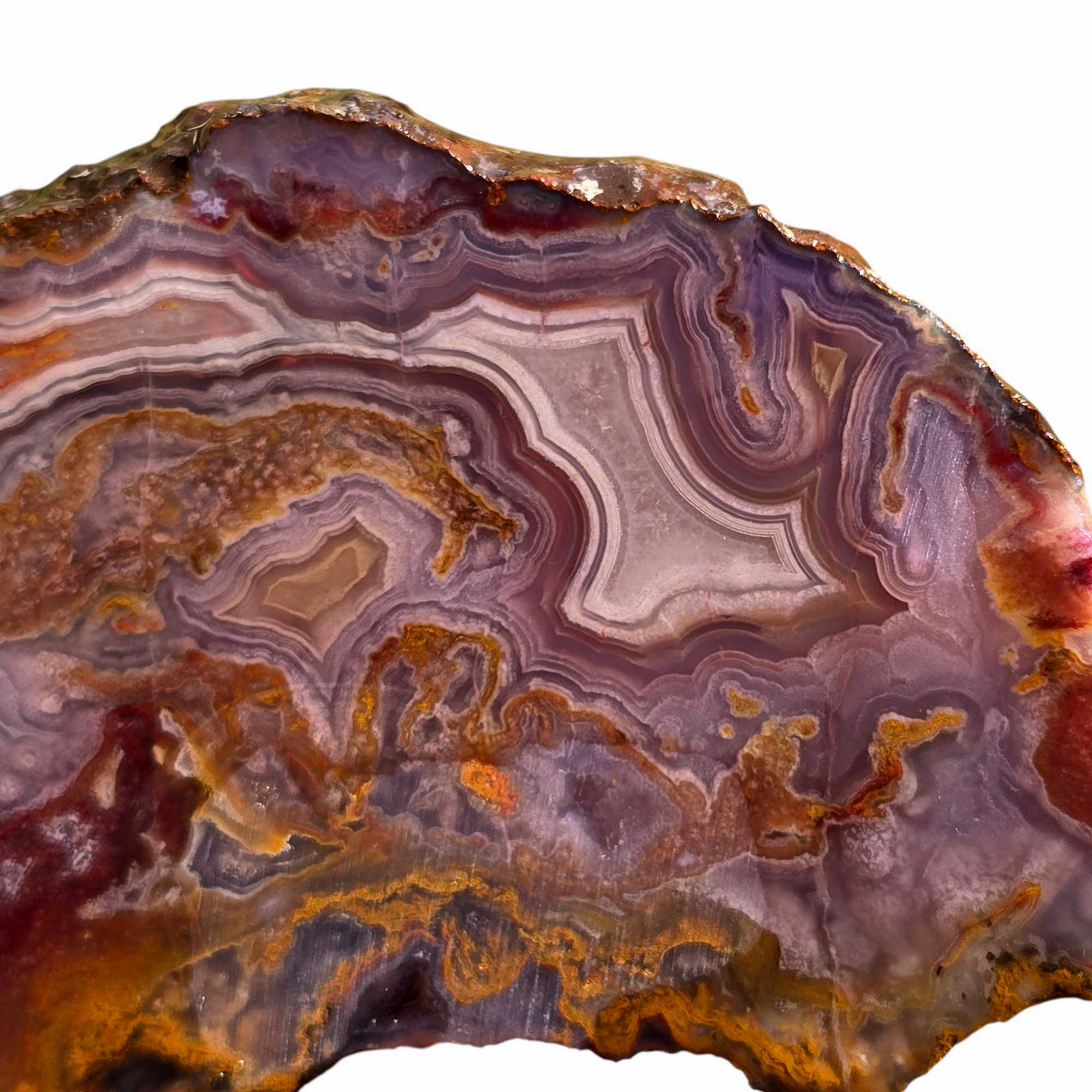 Agua Nueva Agate – Blue Fortification with Moss for Lapidary or Display