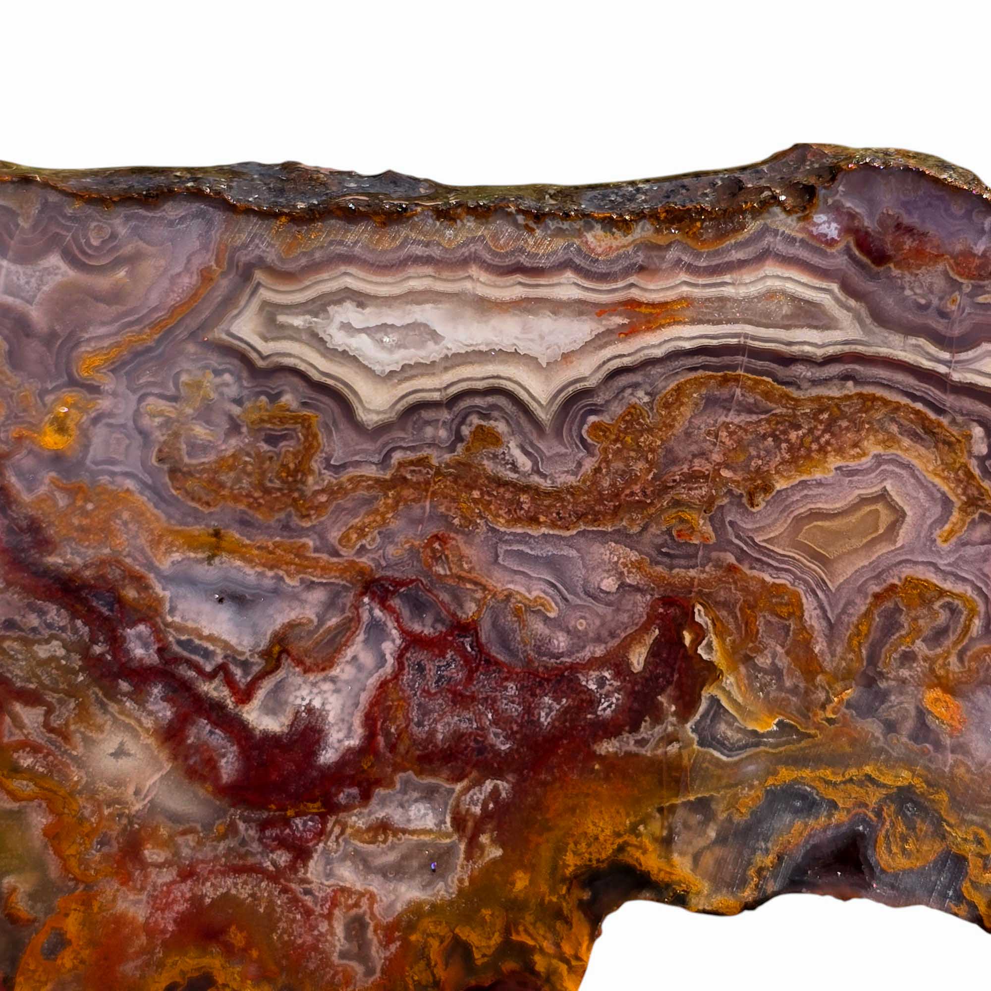 Agua Nueva Agate – Blue Fortification with Moss for Lapidary or Display