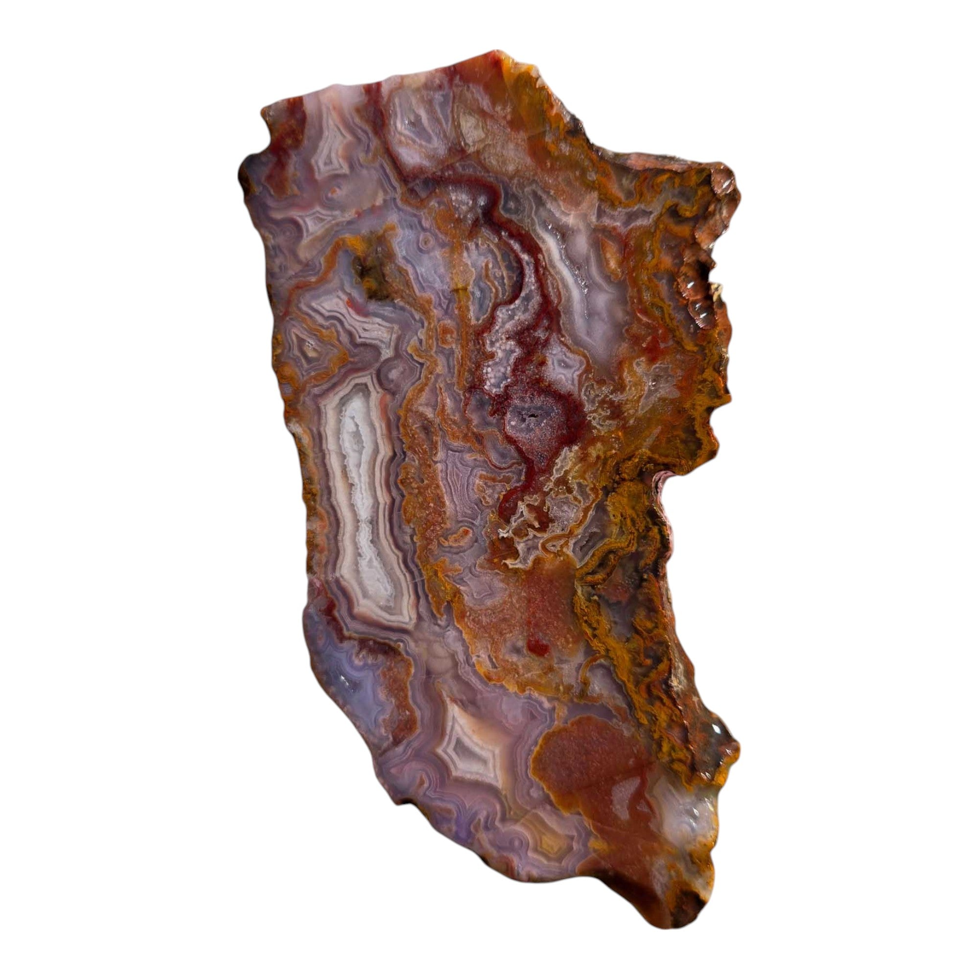 Agua Nueva Agate – Blue Fortification with Moss for Lapidary or Display