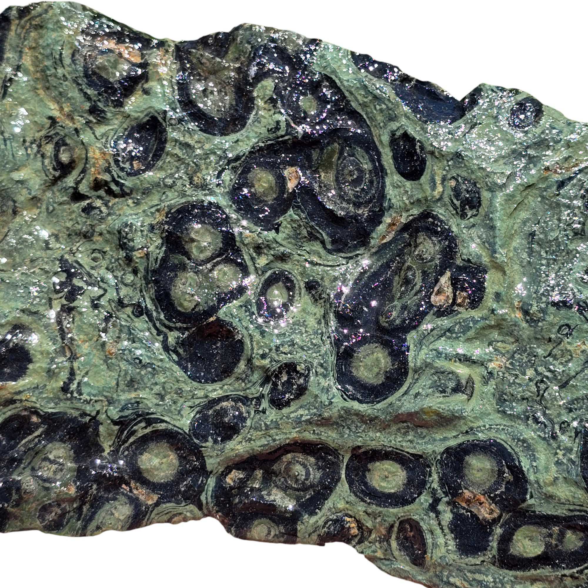 Kambaba Jasper Rough – Large Crocodile Stone for Cutting or Cabochon Work