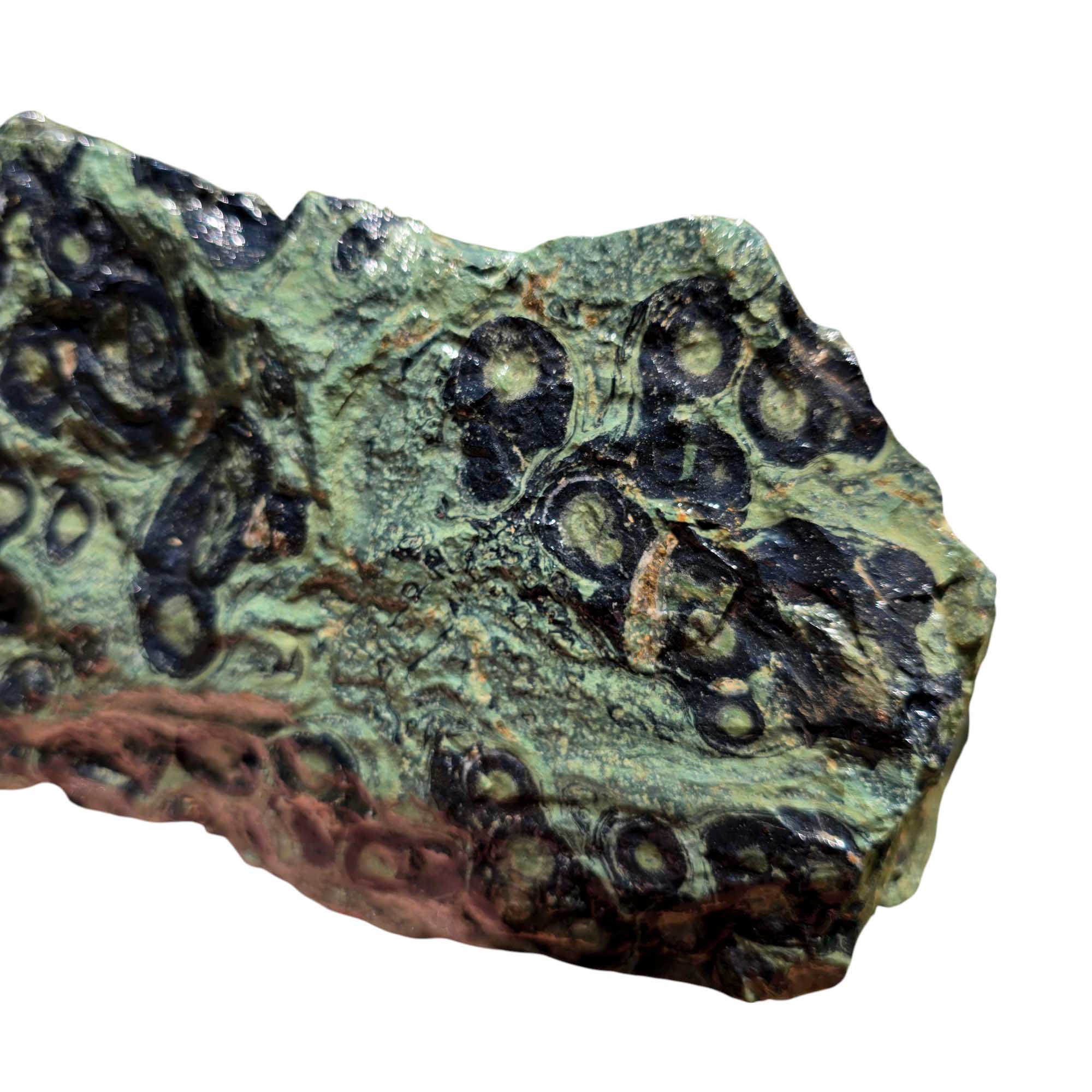 Kambaba Jasper Rough – Large Crocodile Stone for Cutting or Cabochon Work