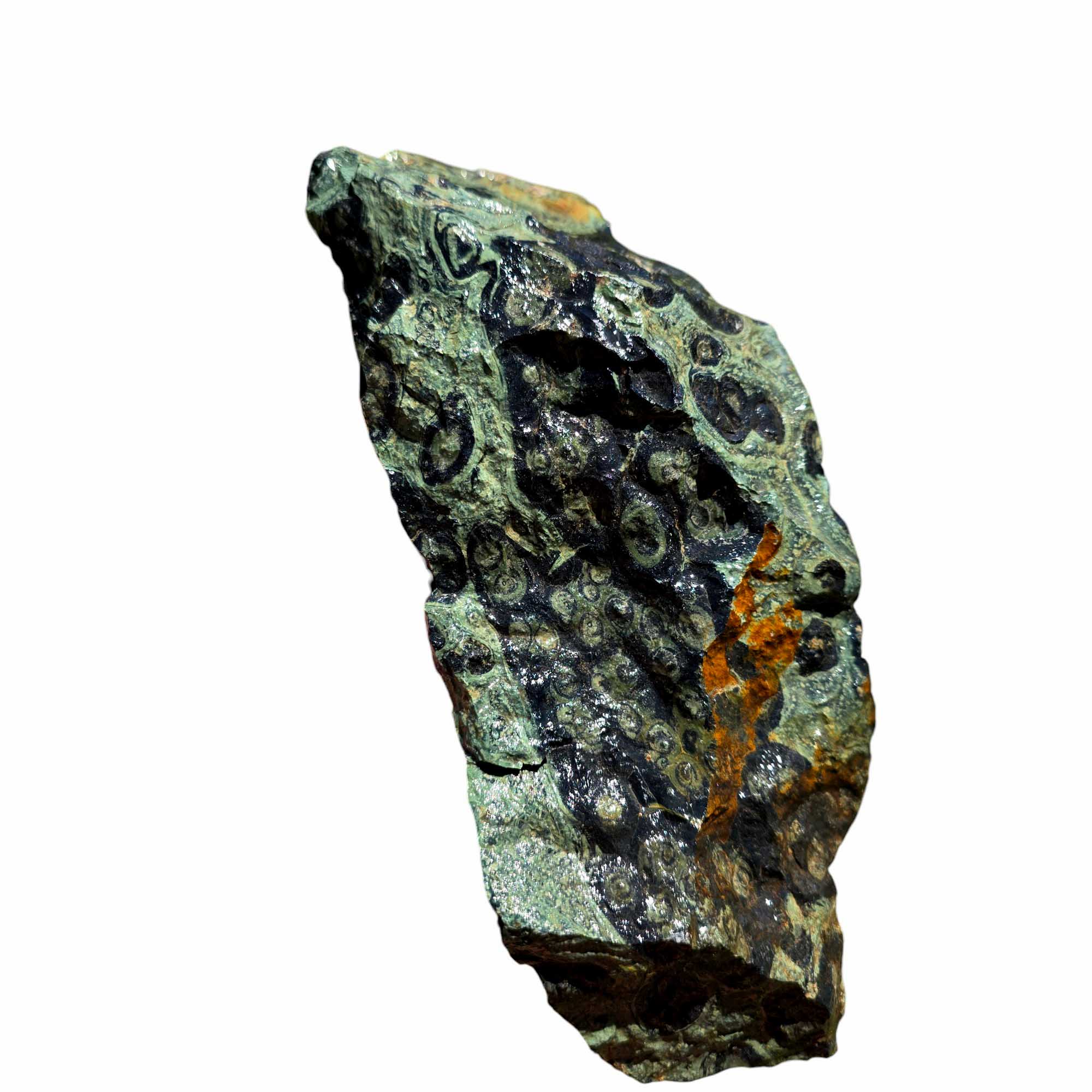 Kambaba Jasper Rough – Large Crocodile Stone for Cutting or Cabochon Work