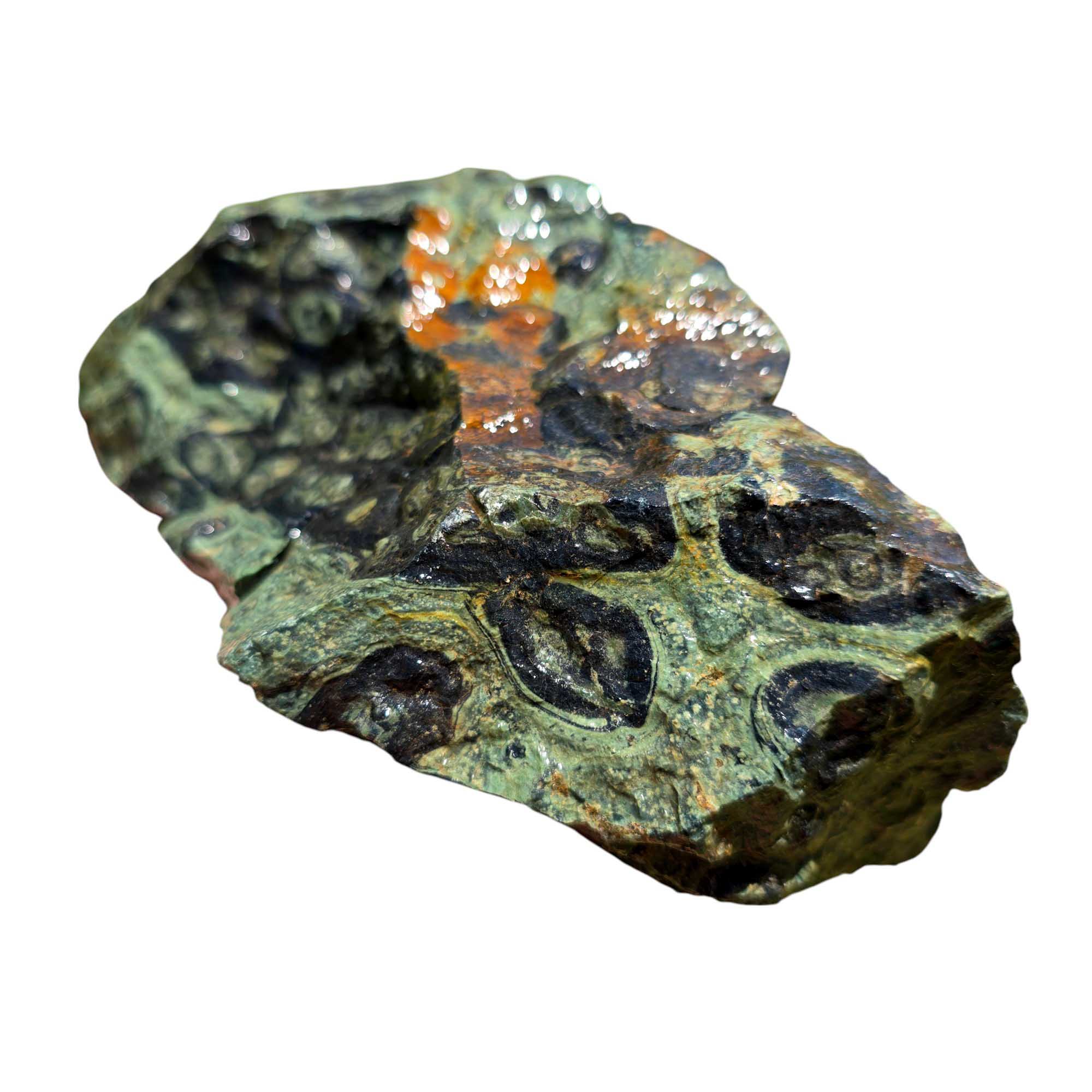 Kambaba Jasper Rough – Large Crocodile Stone for Cutting or Cabochon Work