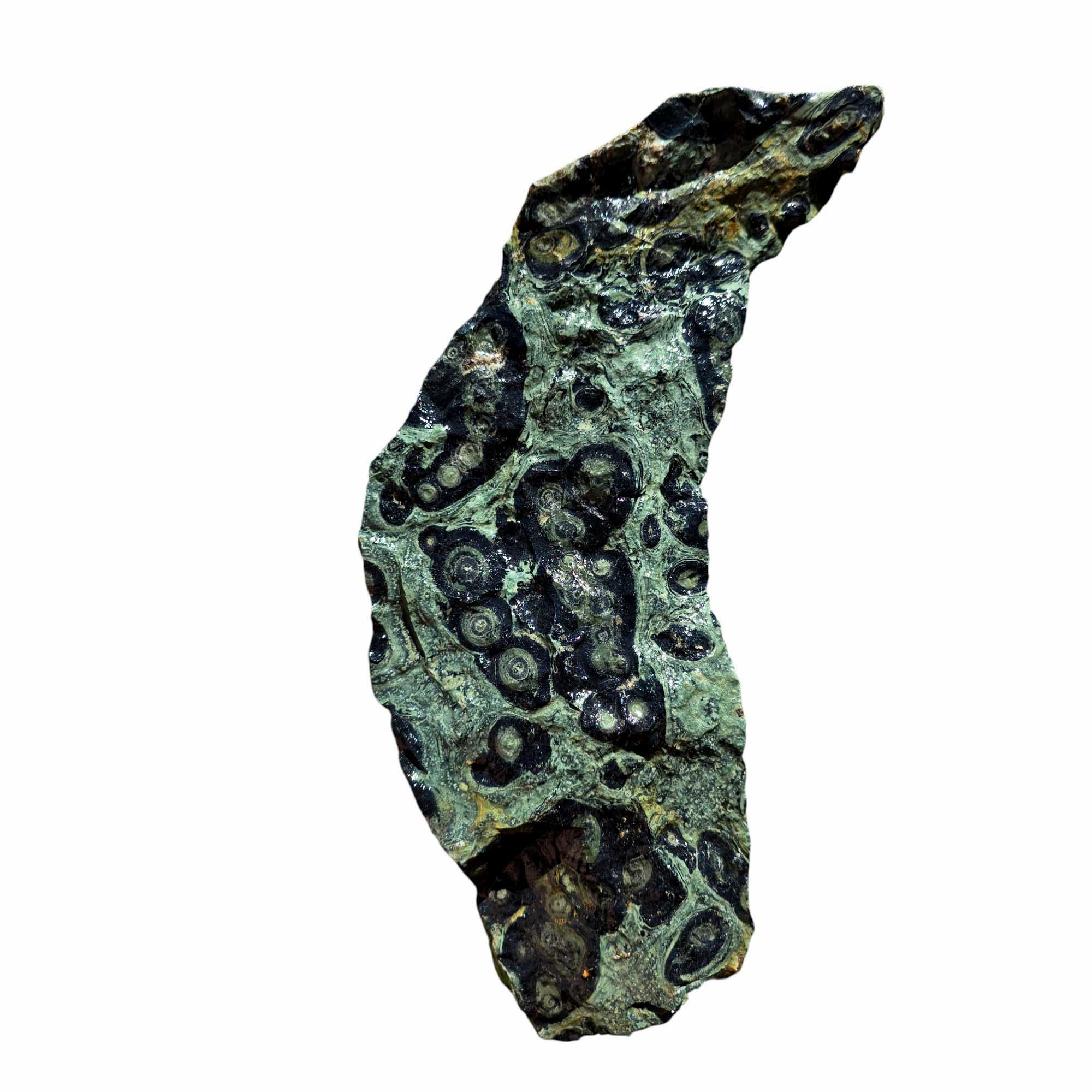 Kambaba Jasper Rough – Large Crocodile Stone for Cutting or Cabochon Work