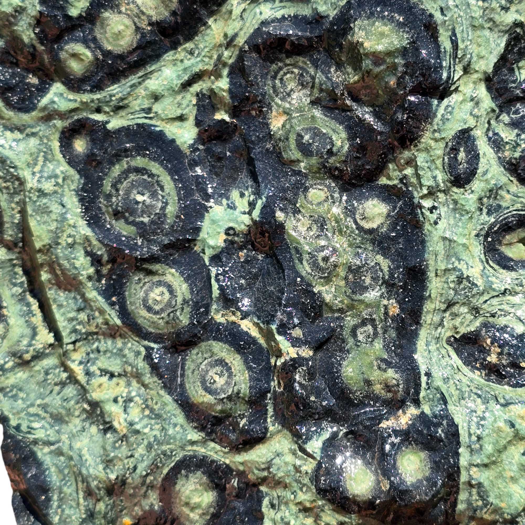 Kambaba Jasper Rough – Large Crocodile Stone for Cutting or Cabochon Work