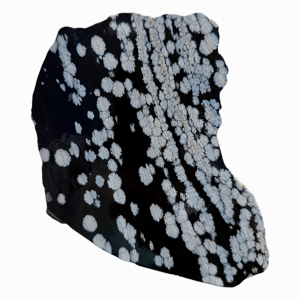 Snowflake Obsidian Pattern Snowflake Obsidian Slab – Large Cut with Bold White Crystal Patterns