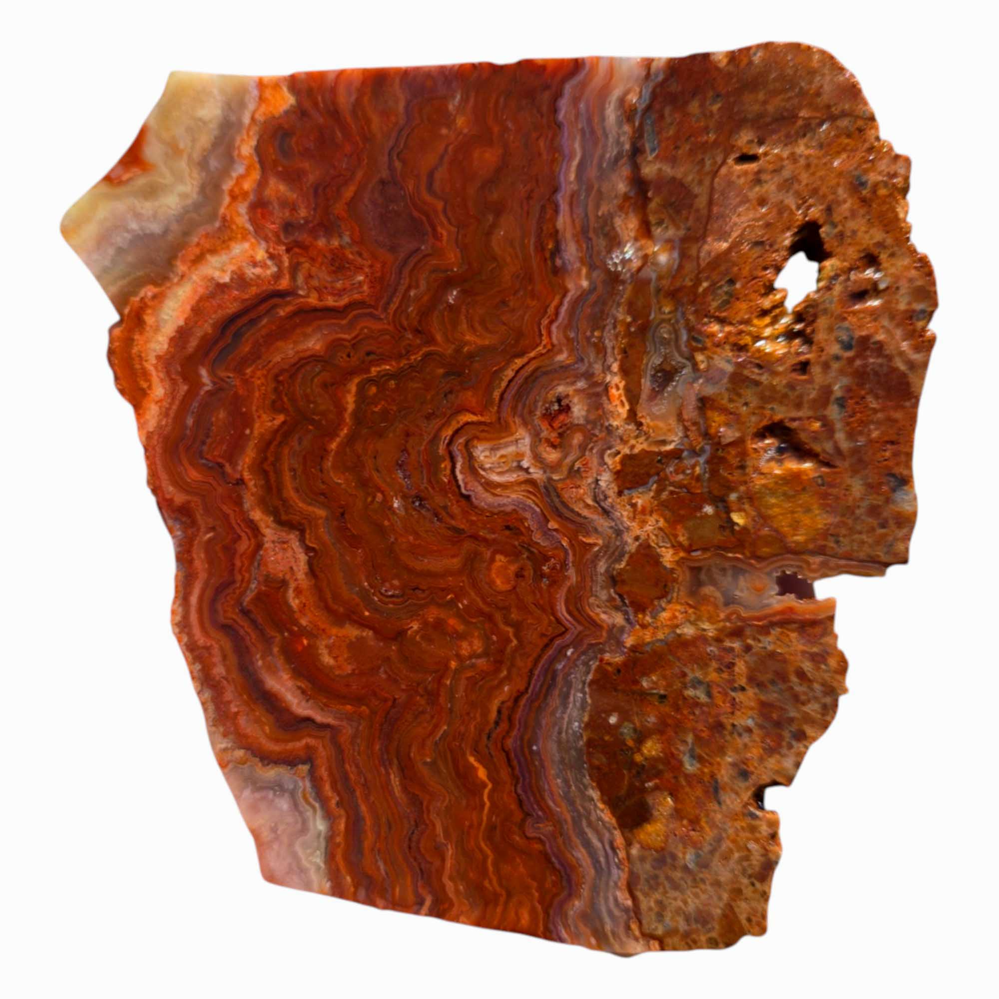 Fire Horizon Agate Slab – Wavy Red Lace with Agate Seam Inclusions
