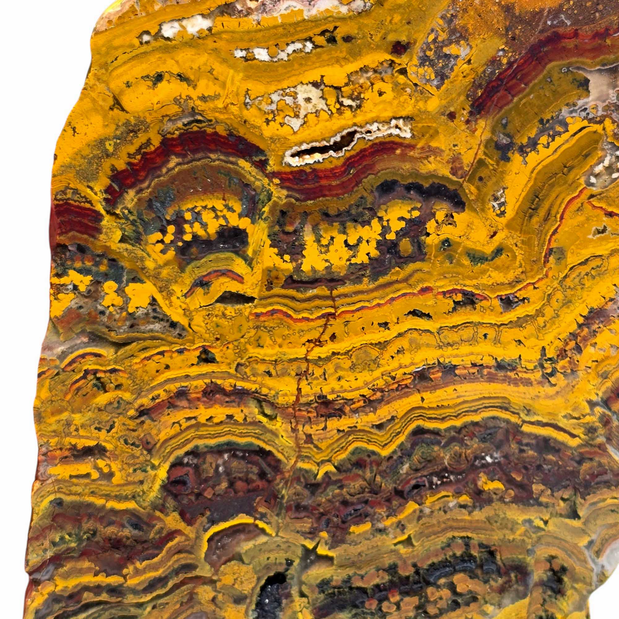 Apple Valley Jasper Slab – Flowing Stromatolite with Sparkling Quartz
