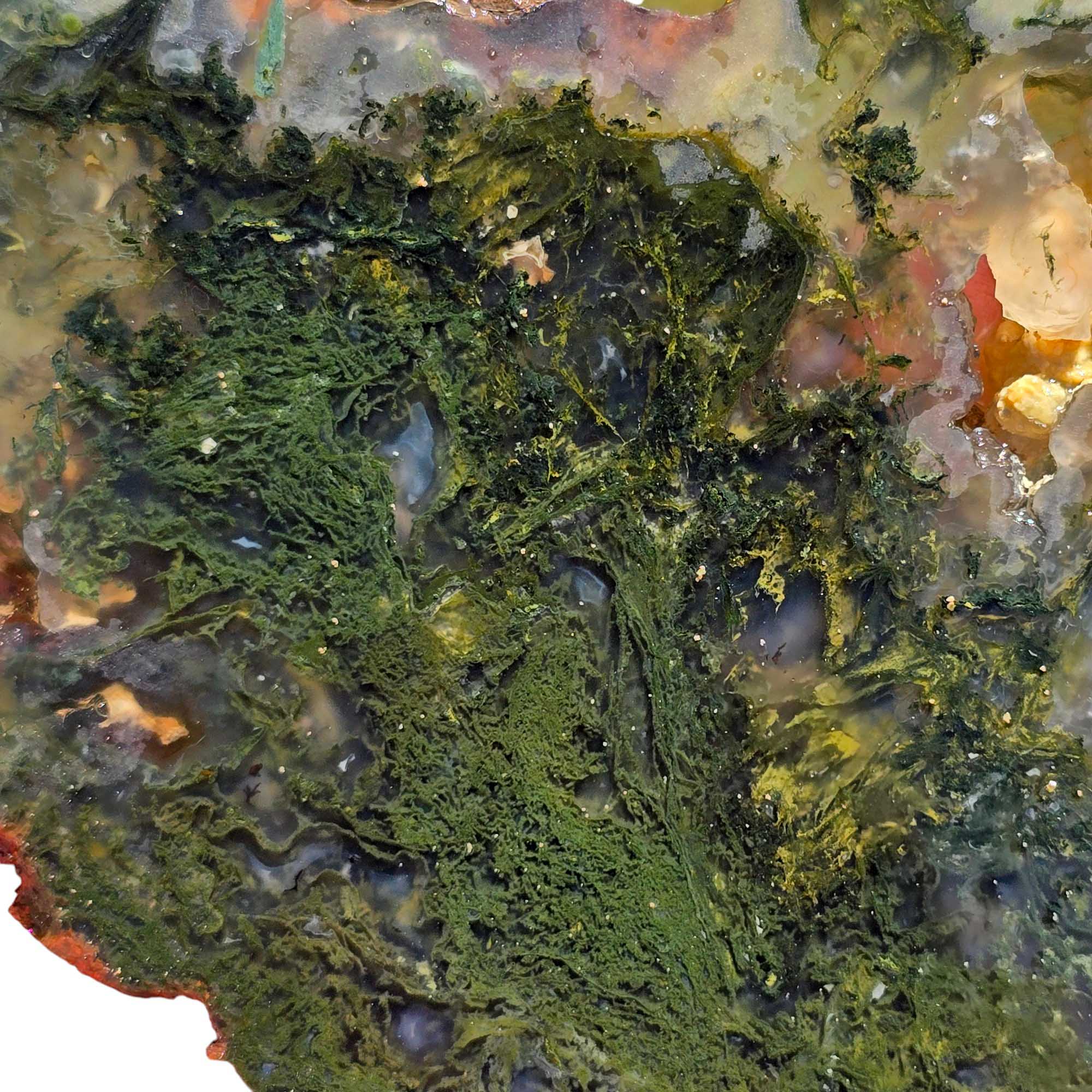 Maury Mountain Moss Agate Slab – Backlit Green Moss with Drusy Quartz