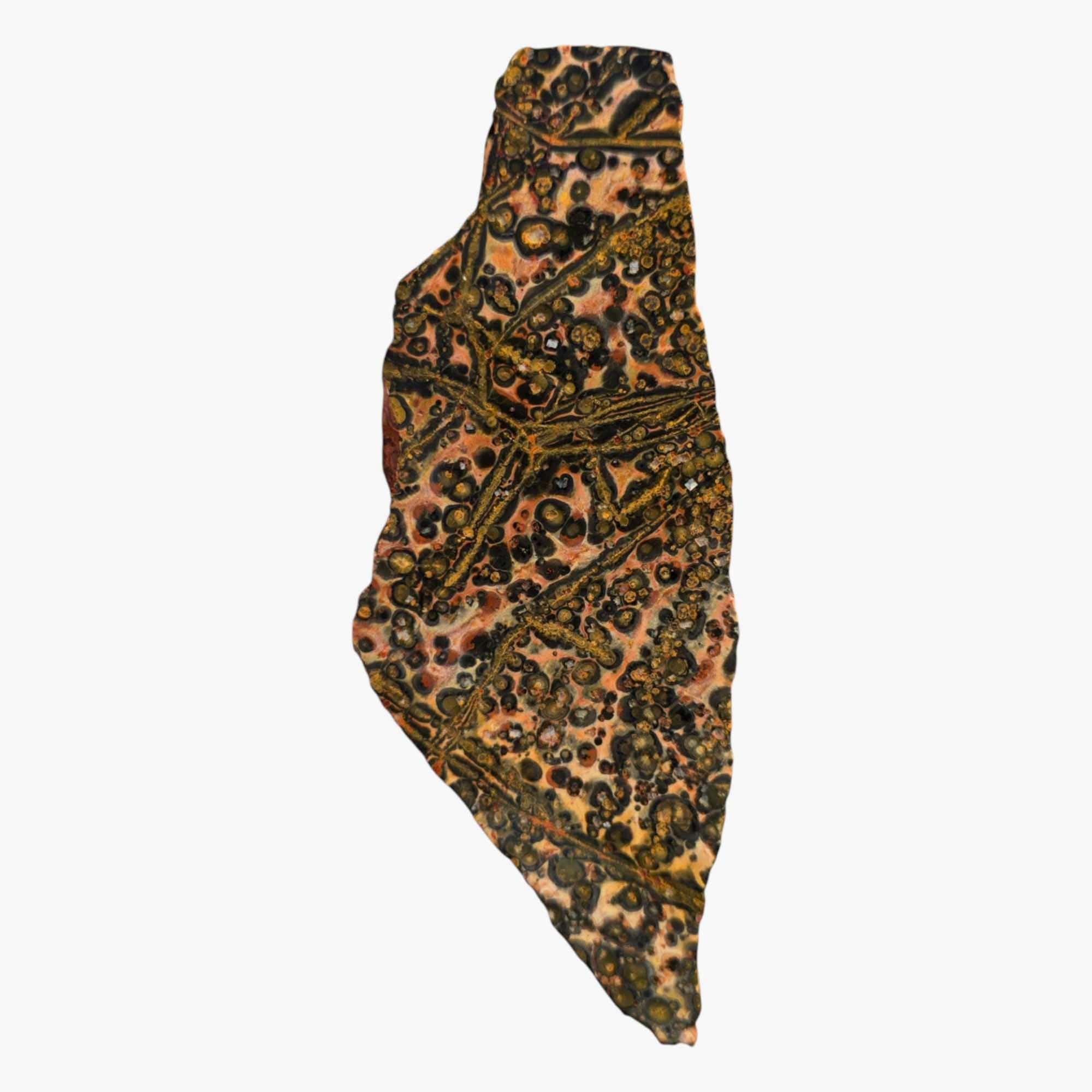 Leopard Skin Rhyolite Slab – Orbicular Jasper with Bold Yellow & Pink