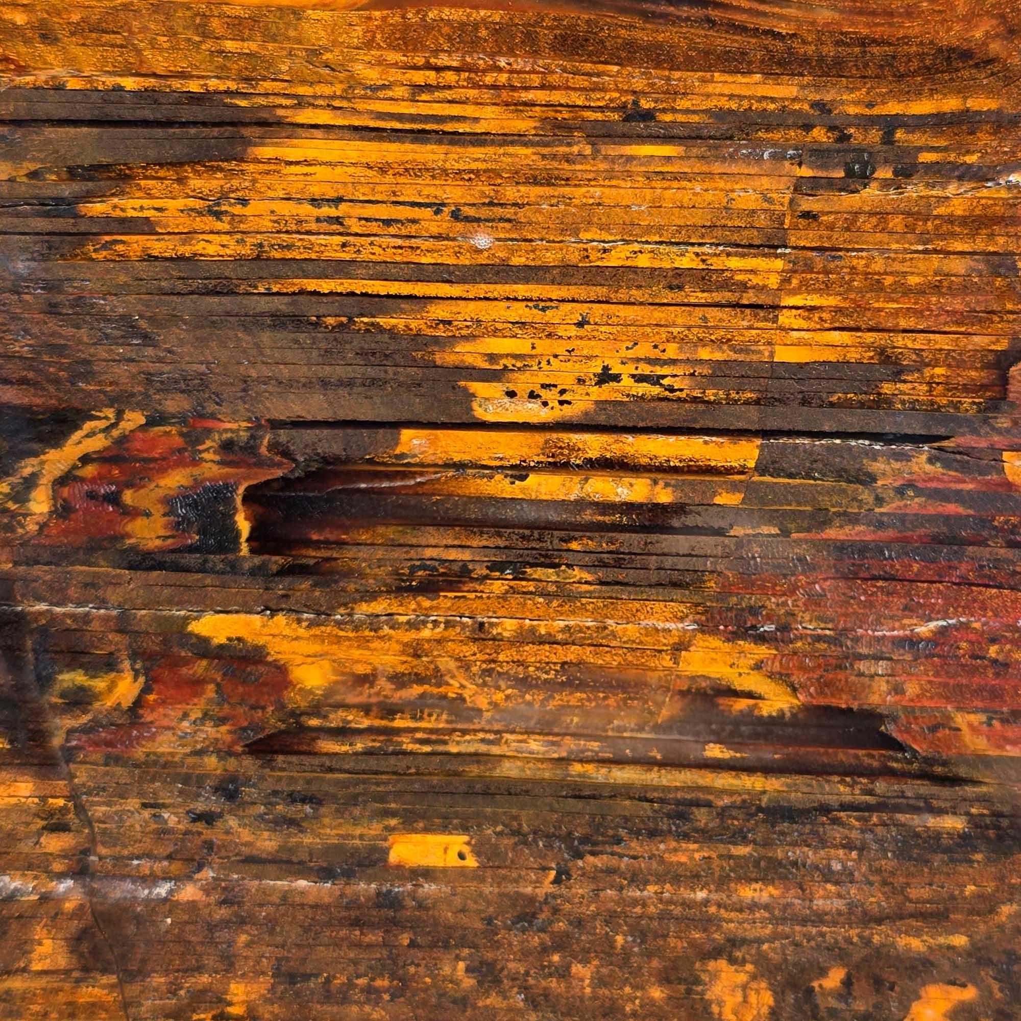 Old Stock Petrified Wood Slab – Bold Grain Rustic Colors #3598-3