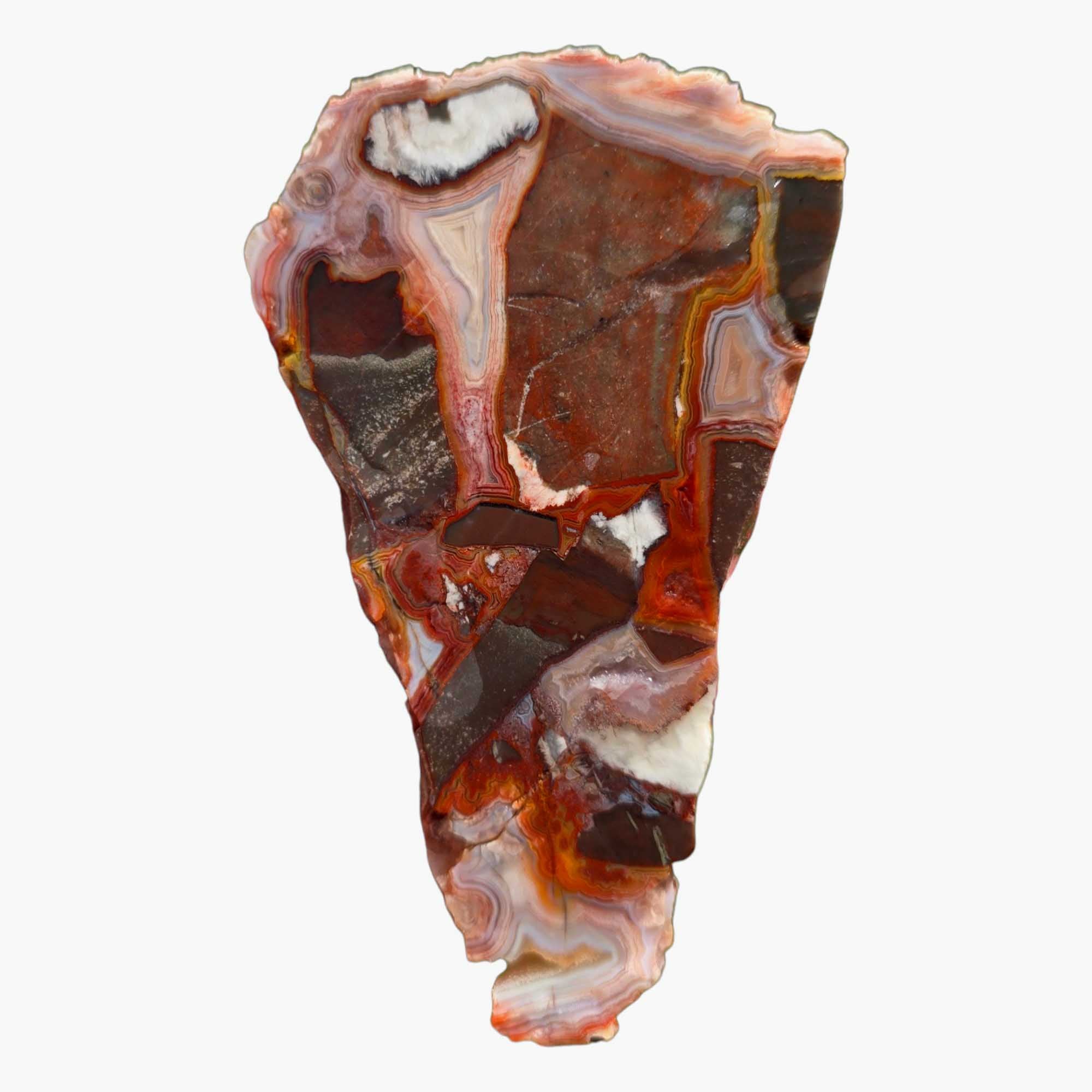 Laguna Lace Agate Slab – Bright Red & Peach Lace with Hematite Zones