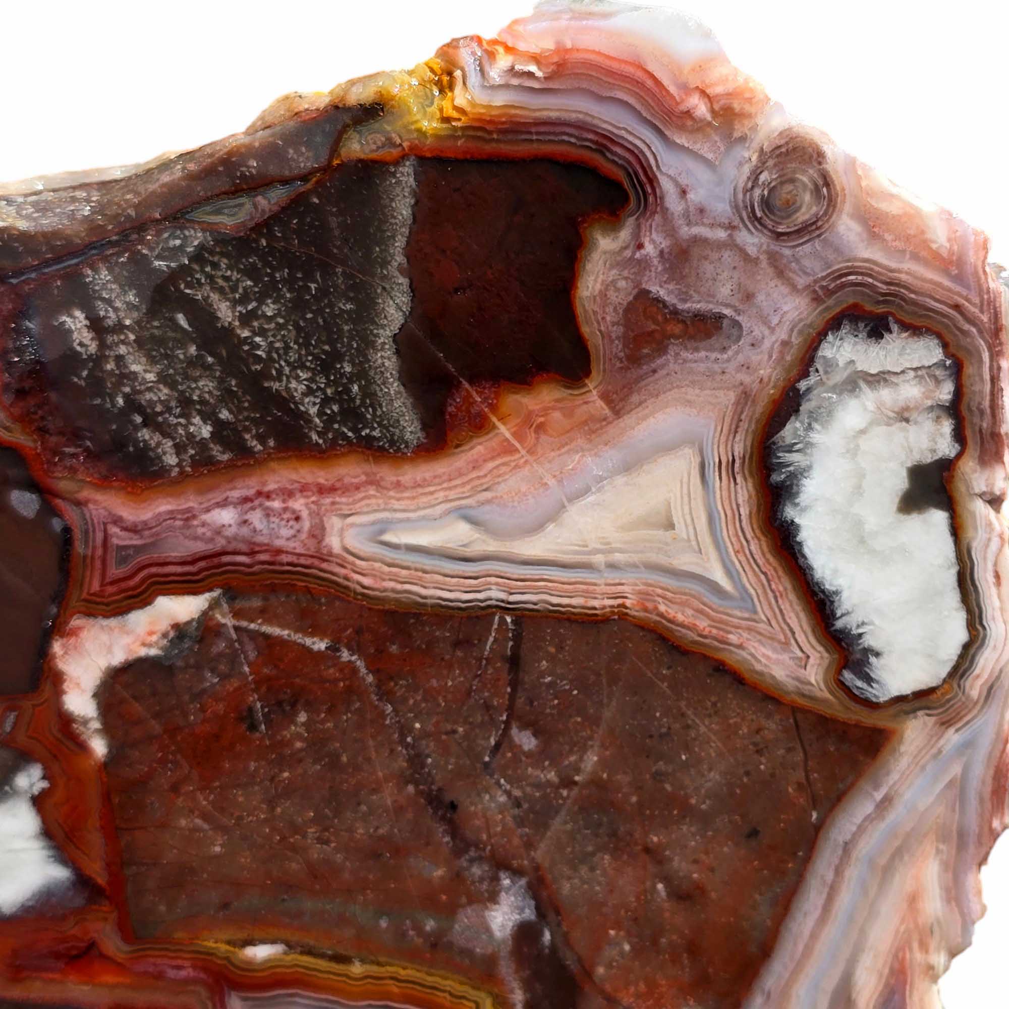 Laguna Lace Agate Slab – Bright Red & Peach Lace with Hematite Zones