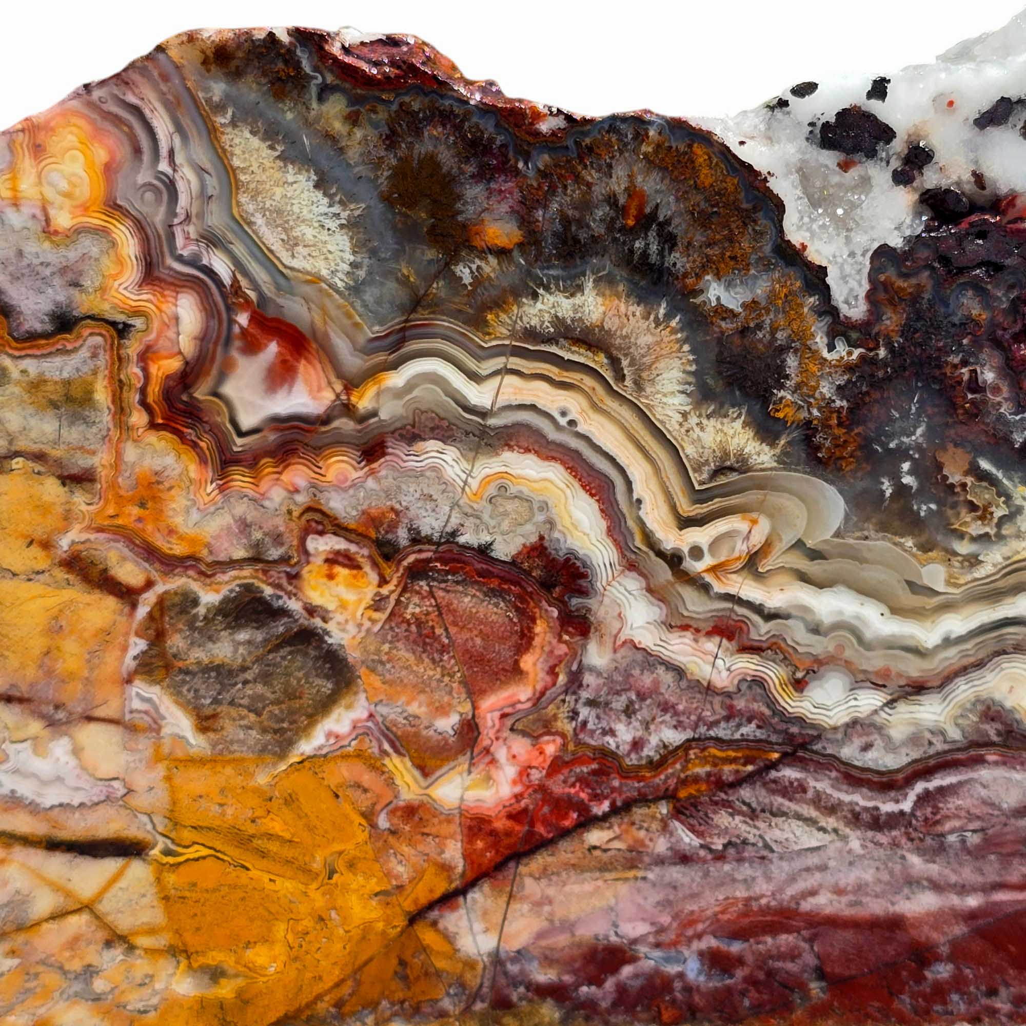 Crazy Lace Agate Slab – Laguna Red & Bold Lace Pattern
