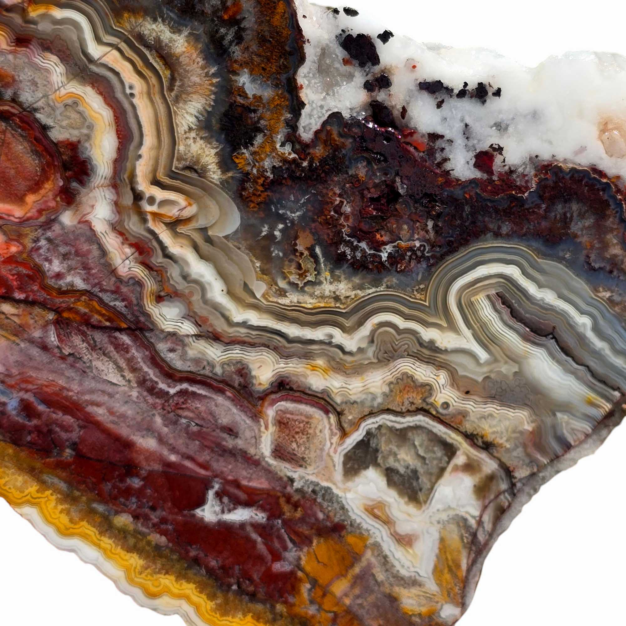 Crazy Lace Agate Slab – Laguna Red & Bold Lace Pattern