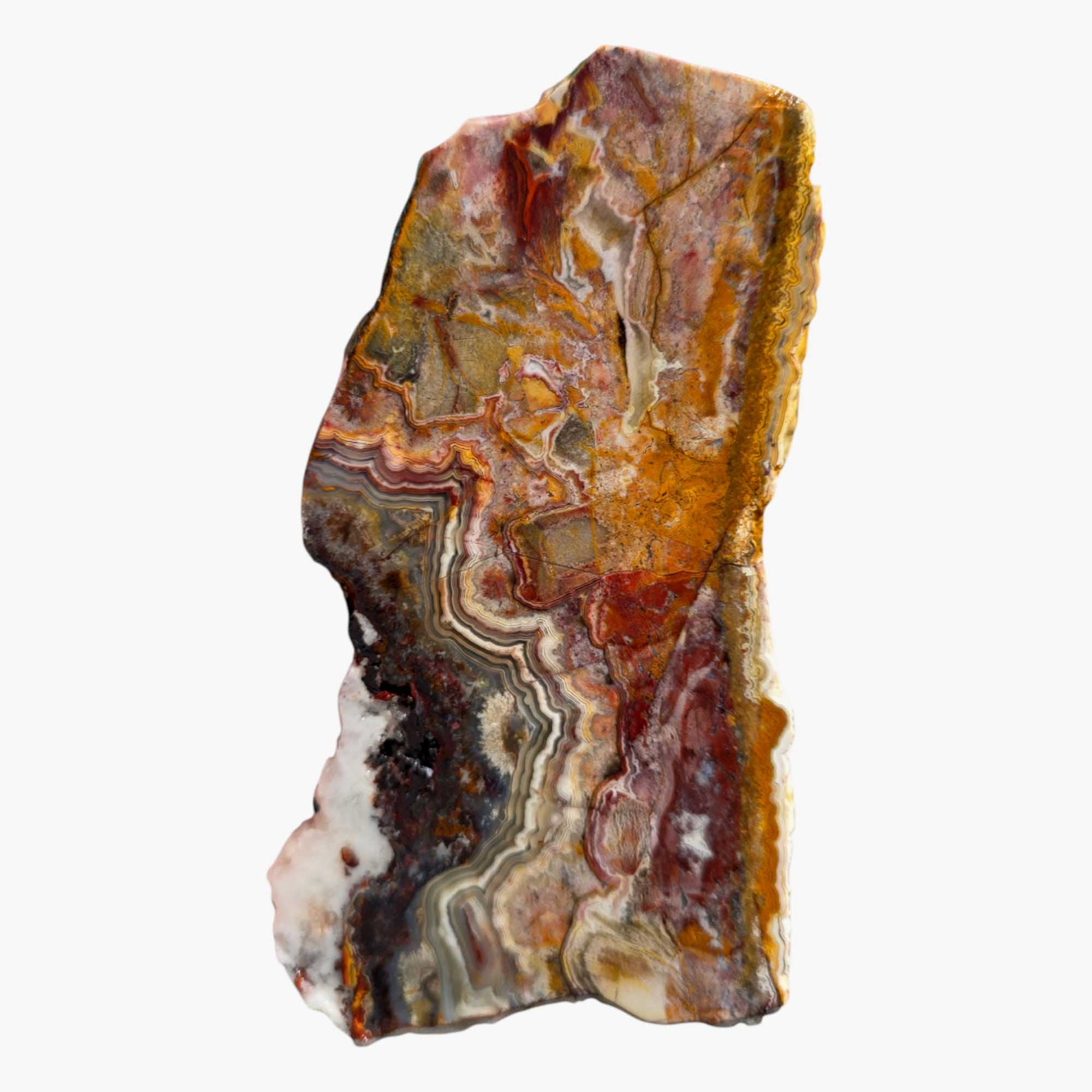 Crazy Lace Agate Slab – Laguna Red & Bold Lace Pattern
