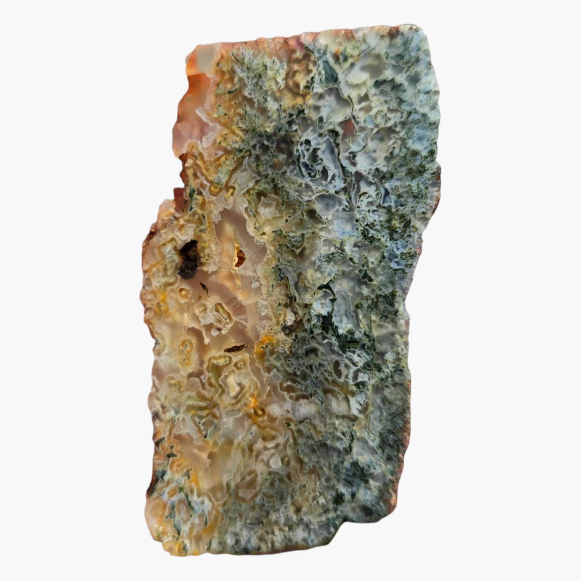 Ochoco Green Moss Agate Slab – Tubular Moss & Designer-Grade Inclusions