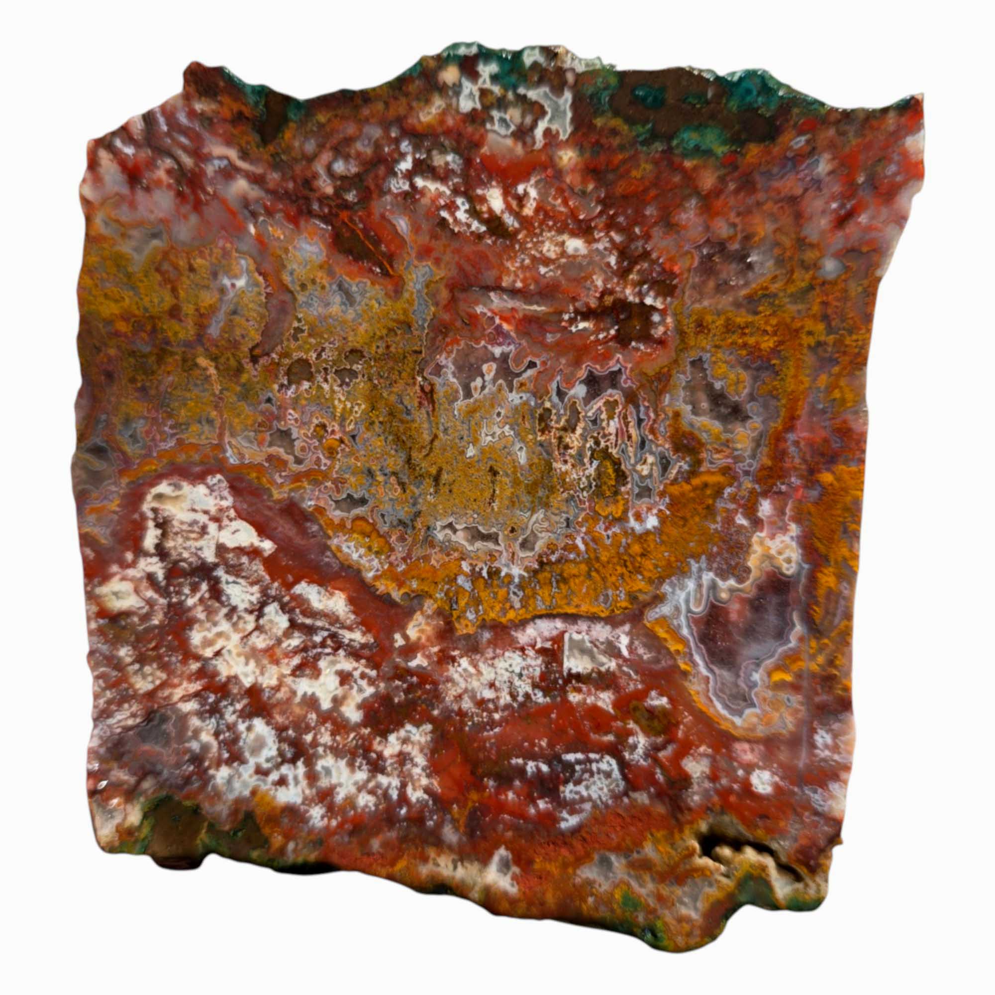 Apple Valley Agate Slab – Moss, Fortification & Druzy in One Cut