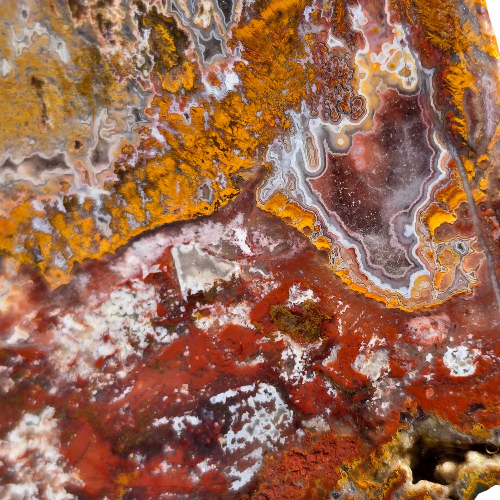 Apple Valley Agate Slab – Moss, Fortification & Druzy in One Cut