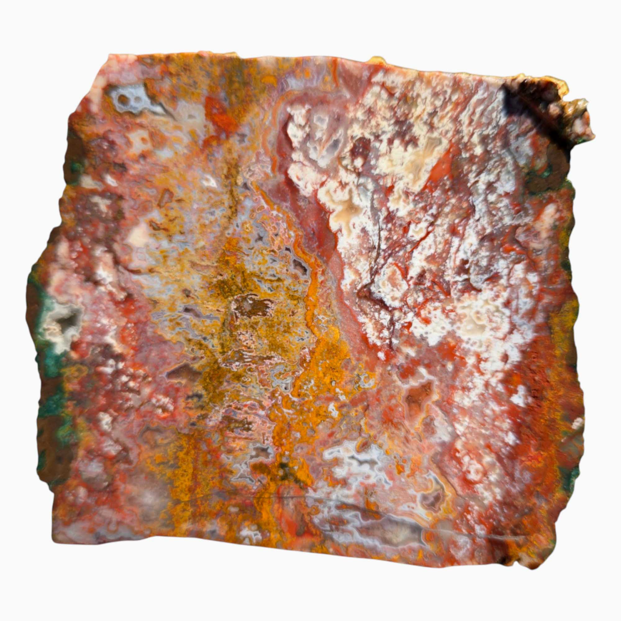 Apple Valley Agate Slab – Moss, Fortification & Druzy in One Cut