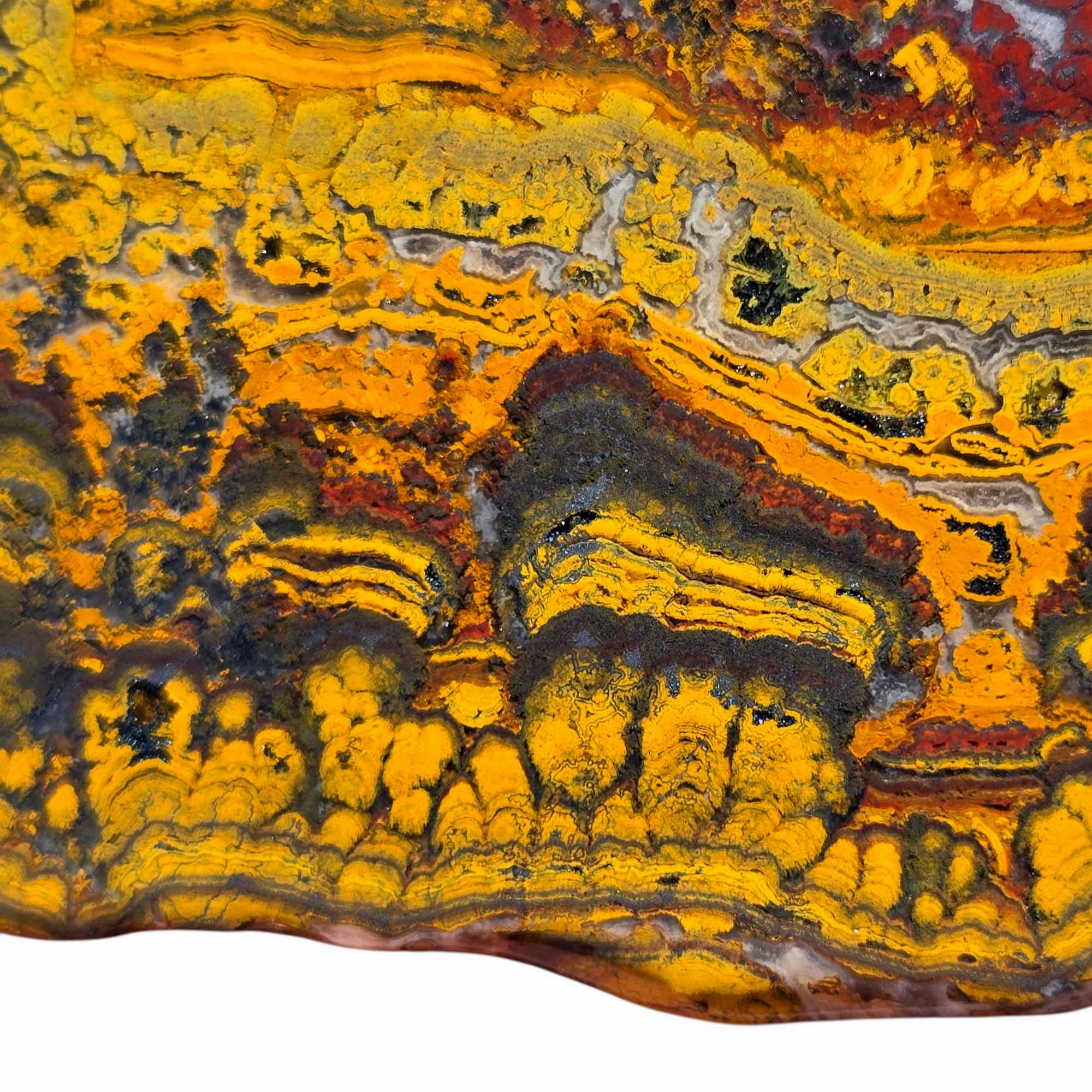 Thin Apple Valley Jasper Slab – Hematite & Jasper Flower Pattern