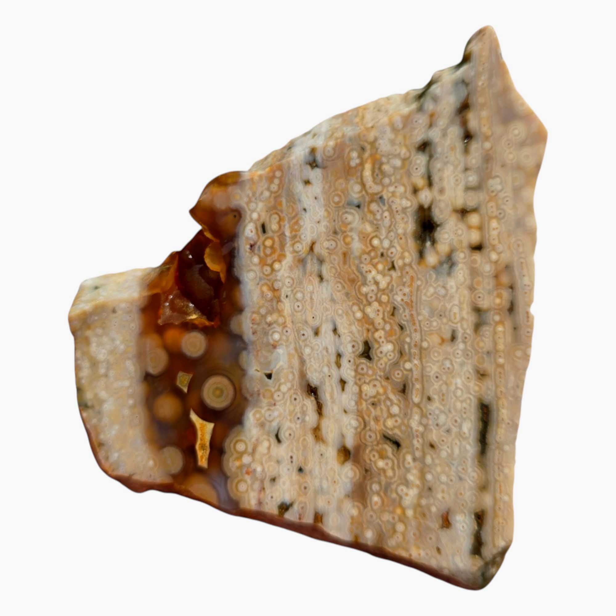 Old Stock Ocean Jasper Slab – Poppy Style Orbs & Pre-2000s Vein