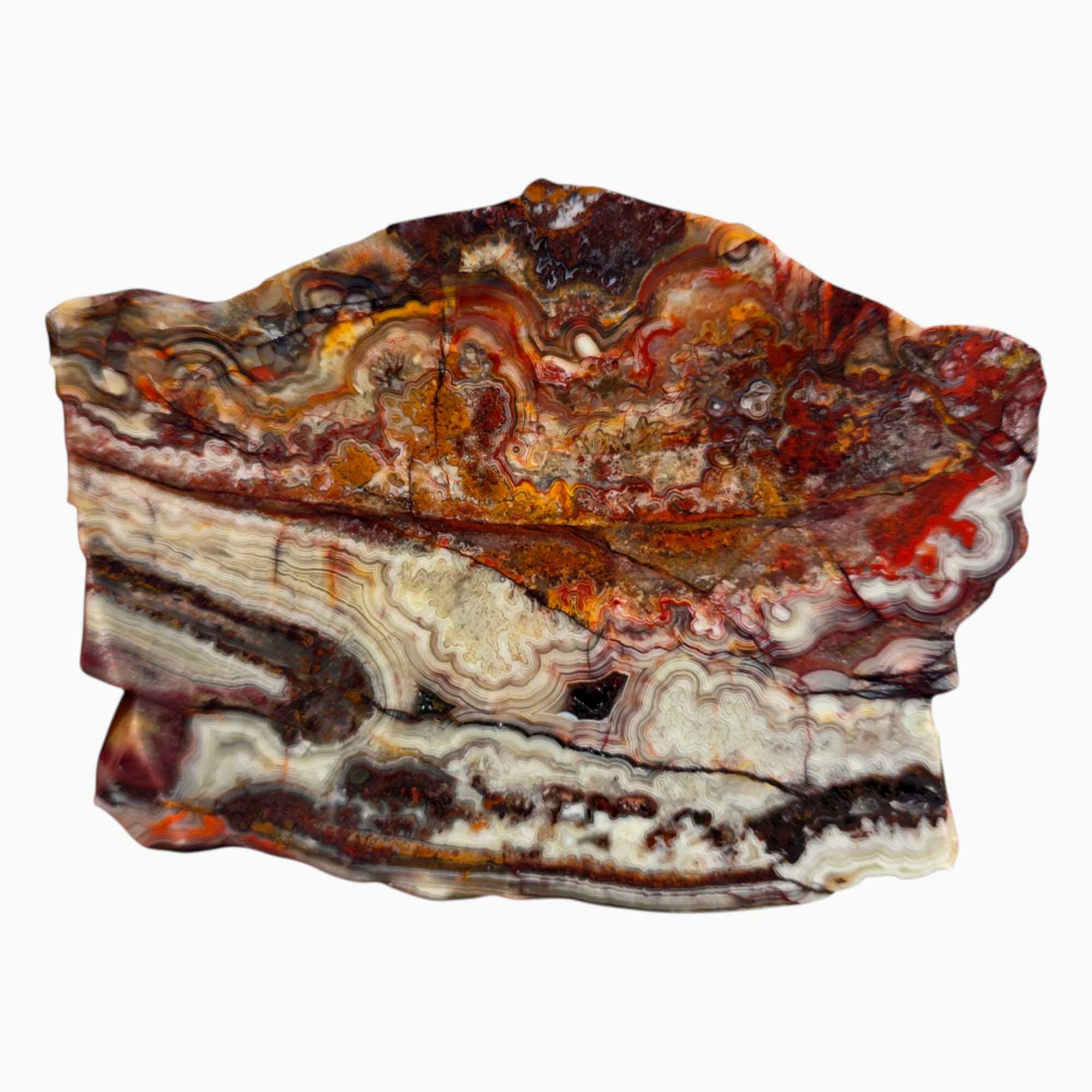 Crazy Lace Agate Slab – Fireworks Burst Pattern with Red Laguna Vein