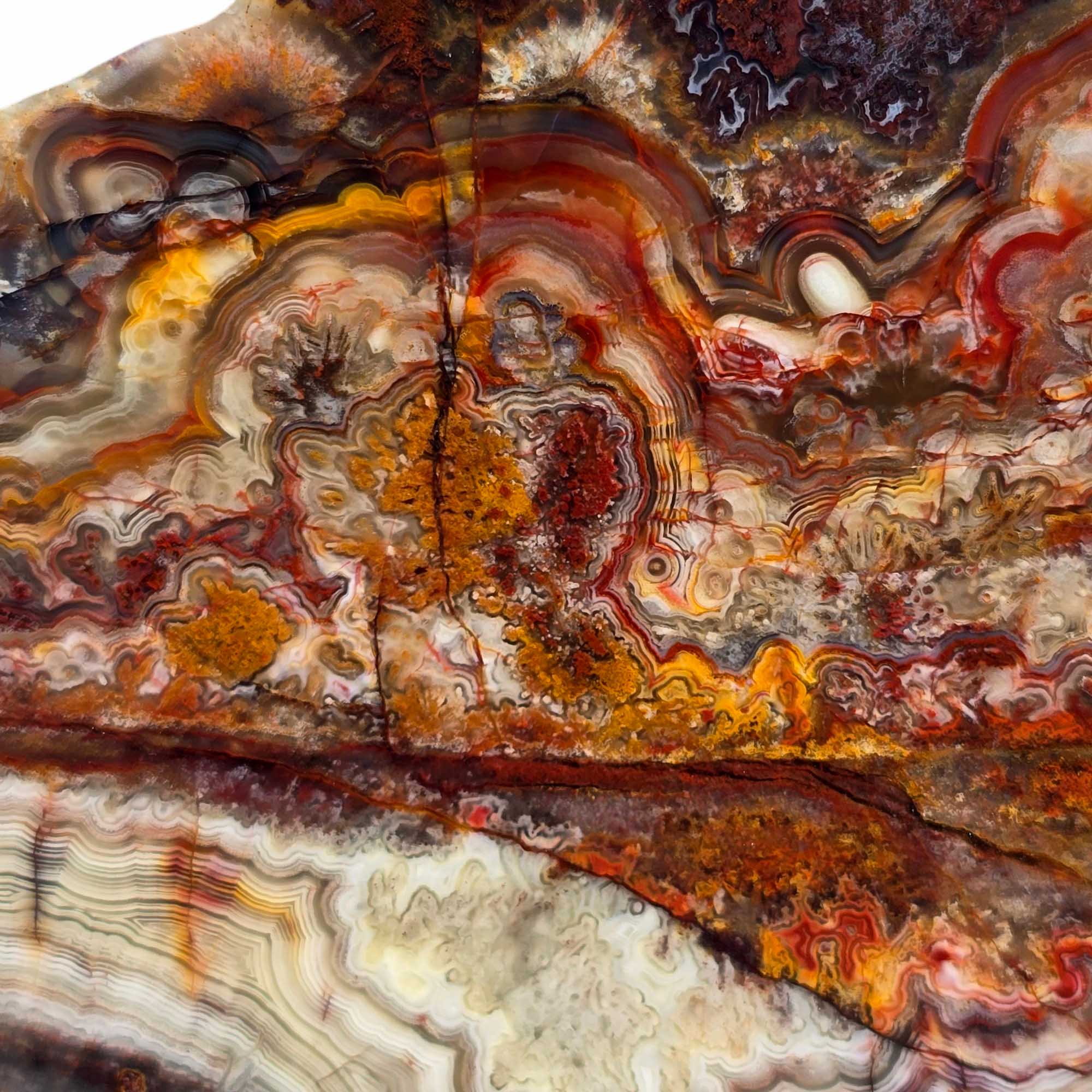 Crazy Lace Agate Slab – Fireworks Burst Pattern with Red Laguna Vein