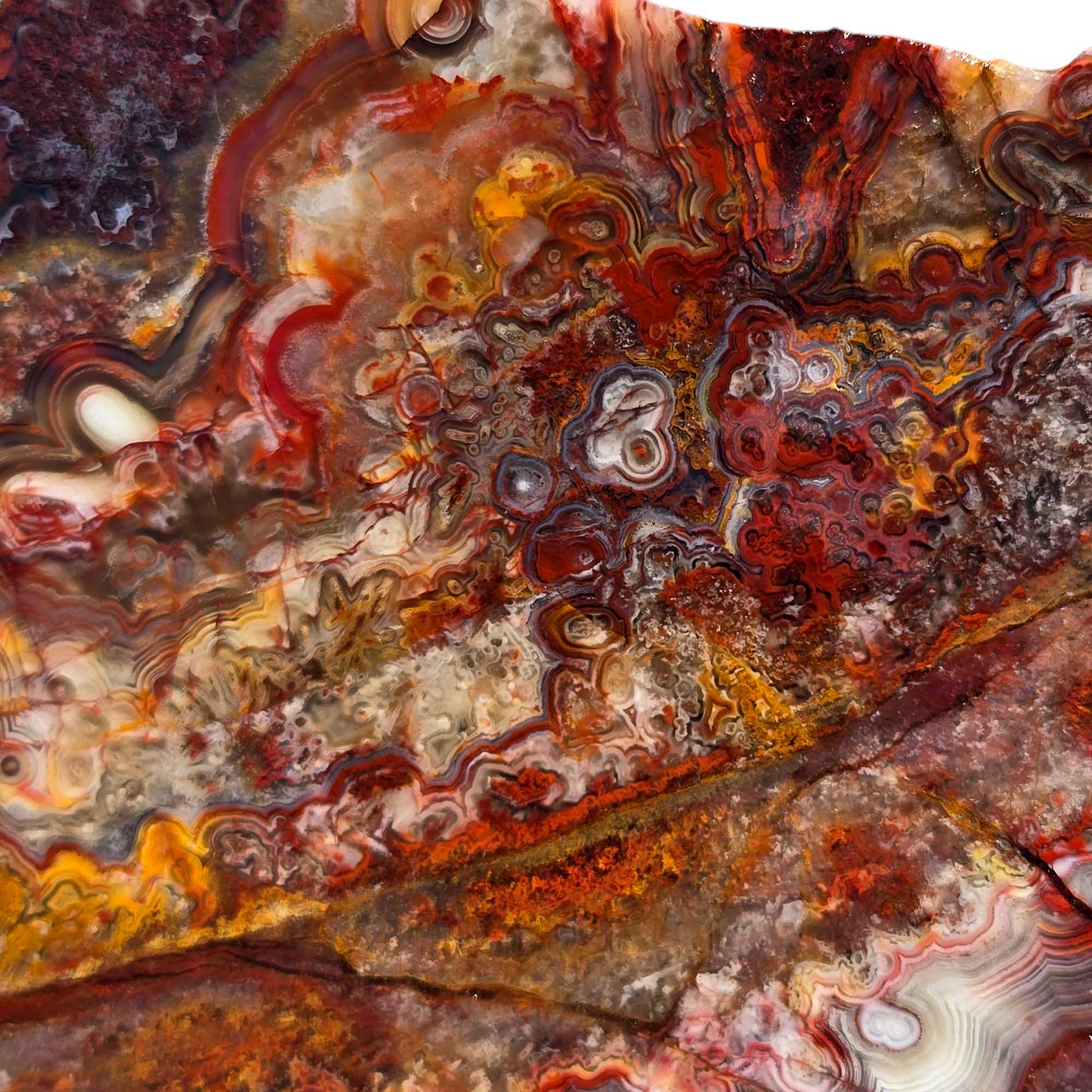 Crazy Lace Agate Slab – Fireworks Burst Pattern with Red Laguna Vein
