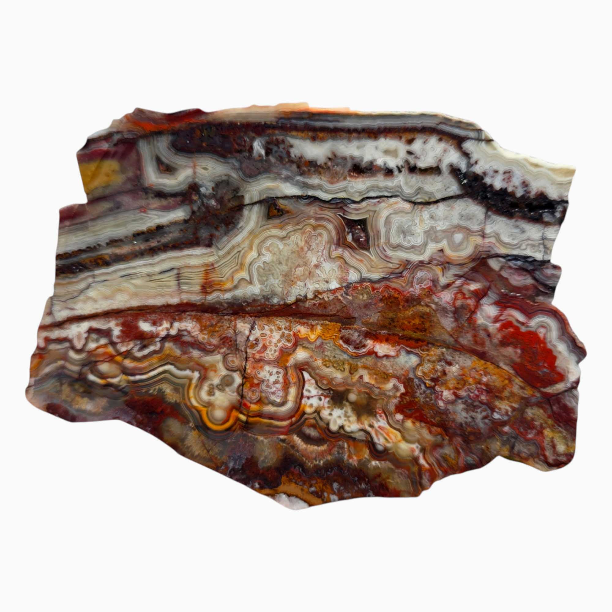 Crazy Lace Agate Slab – Fireworks Burst Pattern with Red Laguna Vein