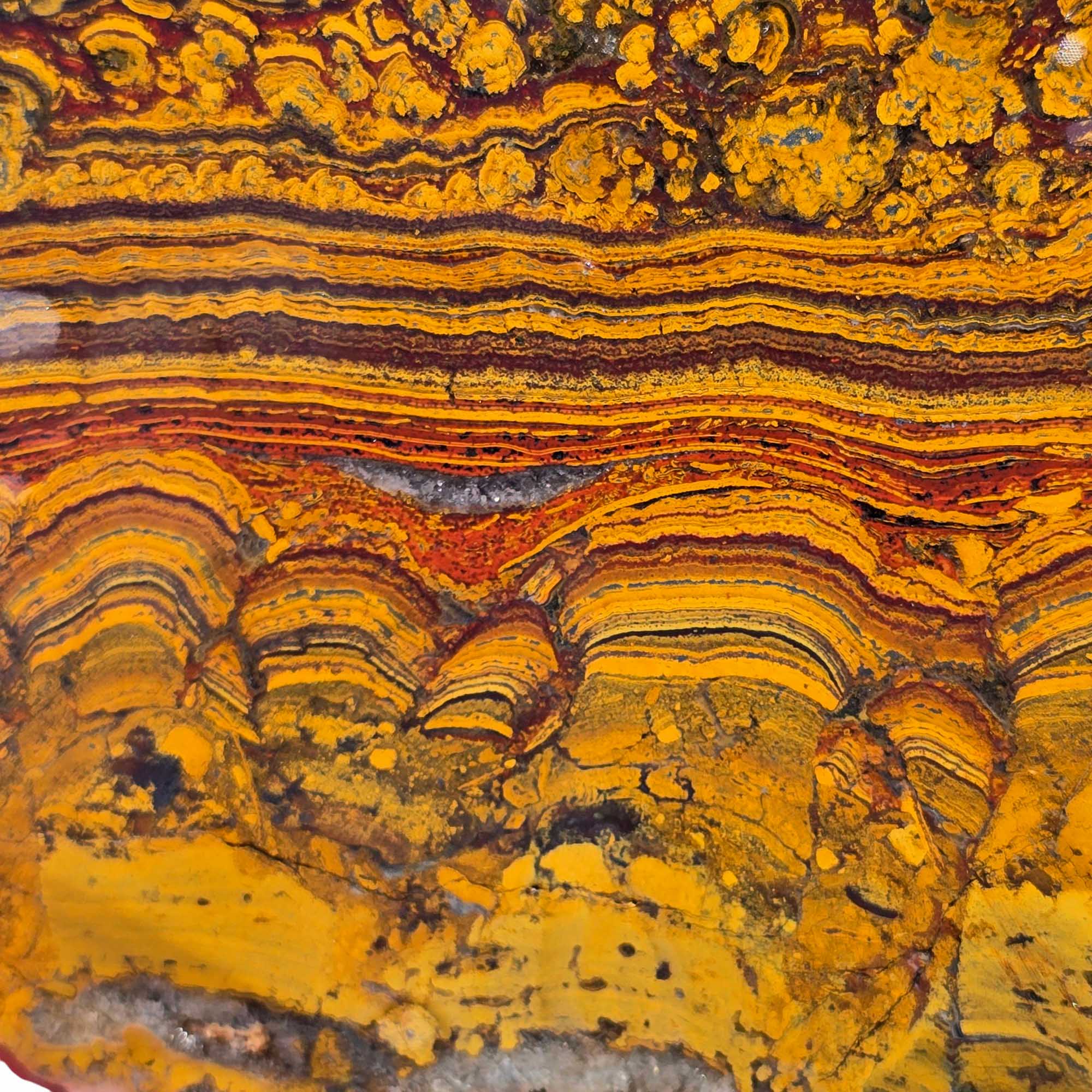 Large Apple Valley Jasper Slab – Red Brushstrokes & Hematite Flowers