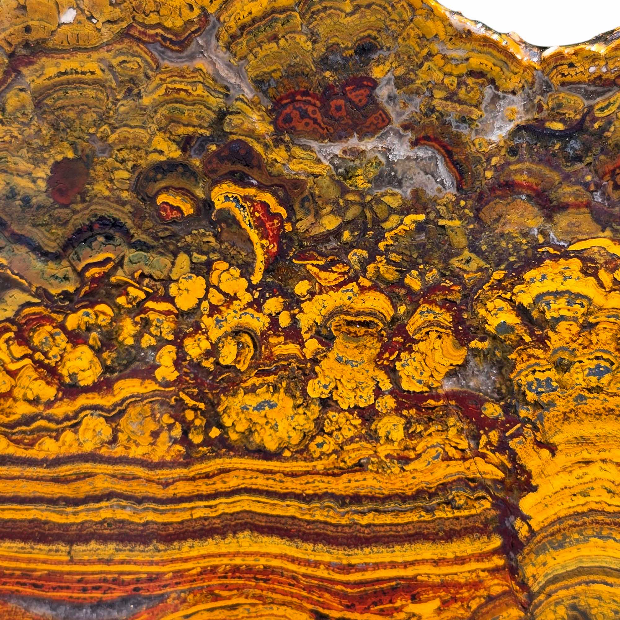 Large Apple Valley Jasper Slab – Red Brushstrokes & Hematite Flowers