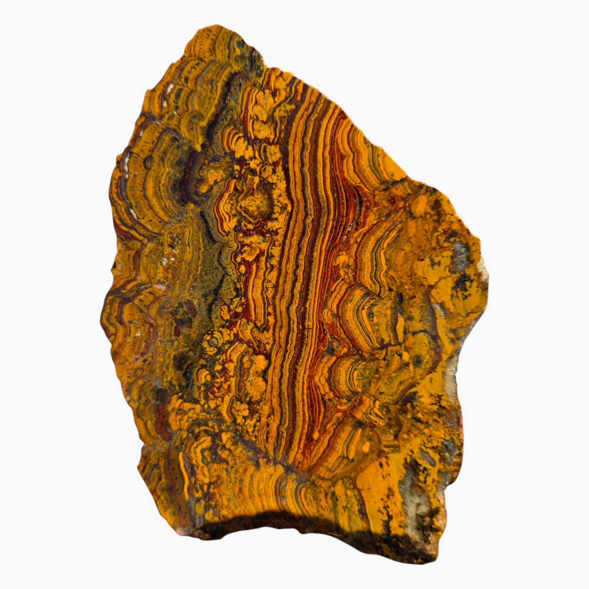 Large Apple Valley Jasper Slab – Red Brushstrokes & Hematite Flowers