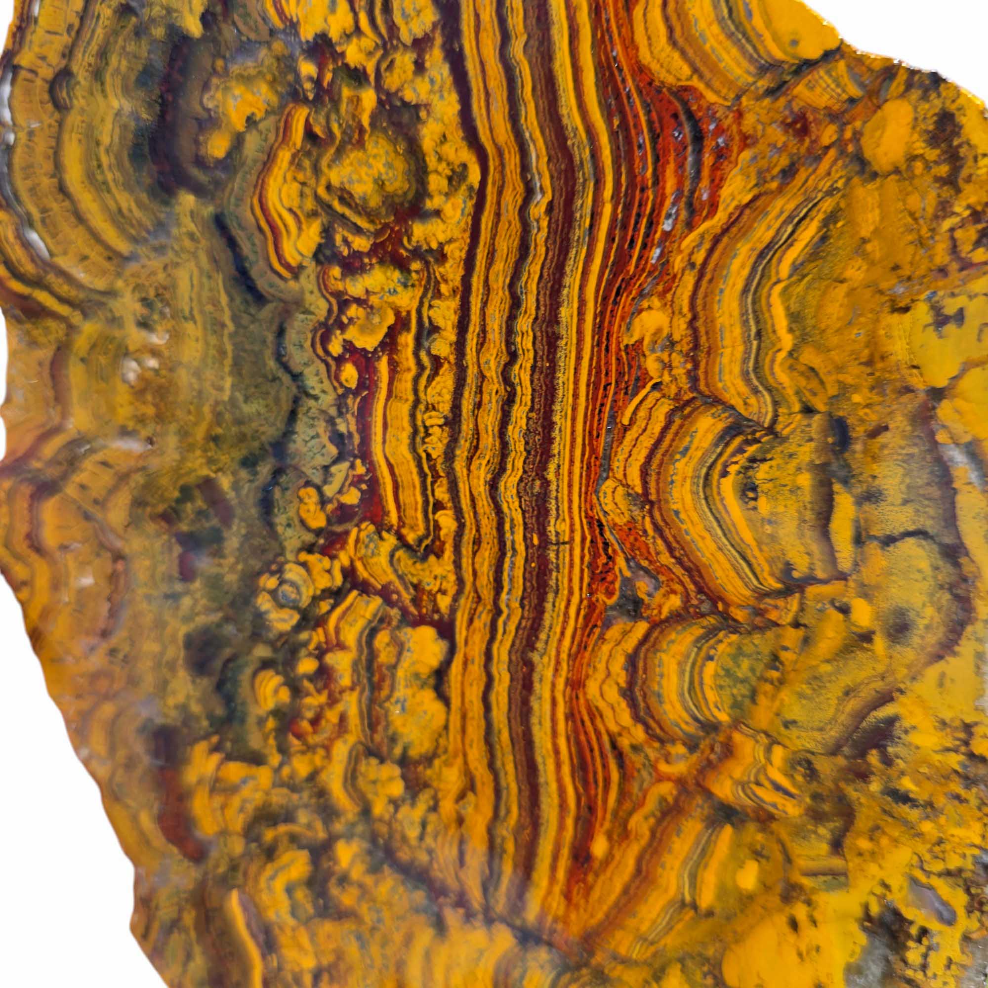 Large Apple Valley Jasper Slab – Red Brushstrokes & Hematite Flowers