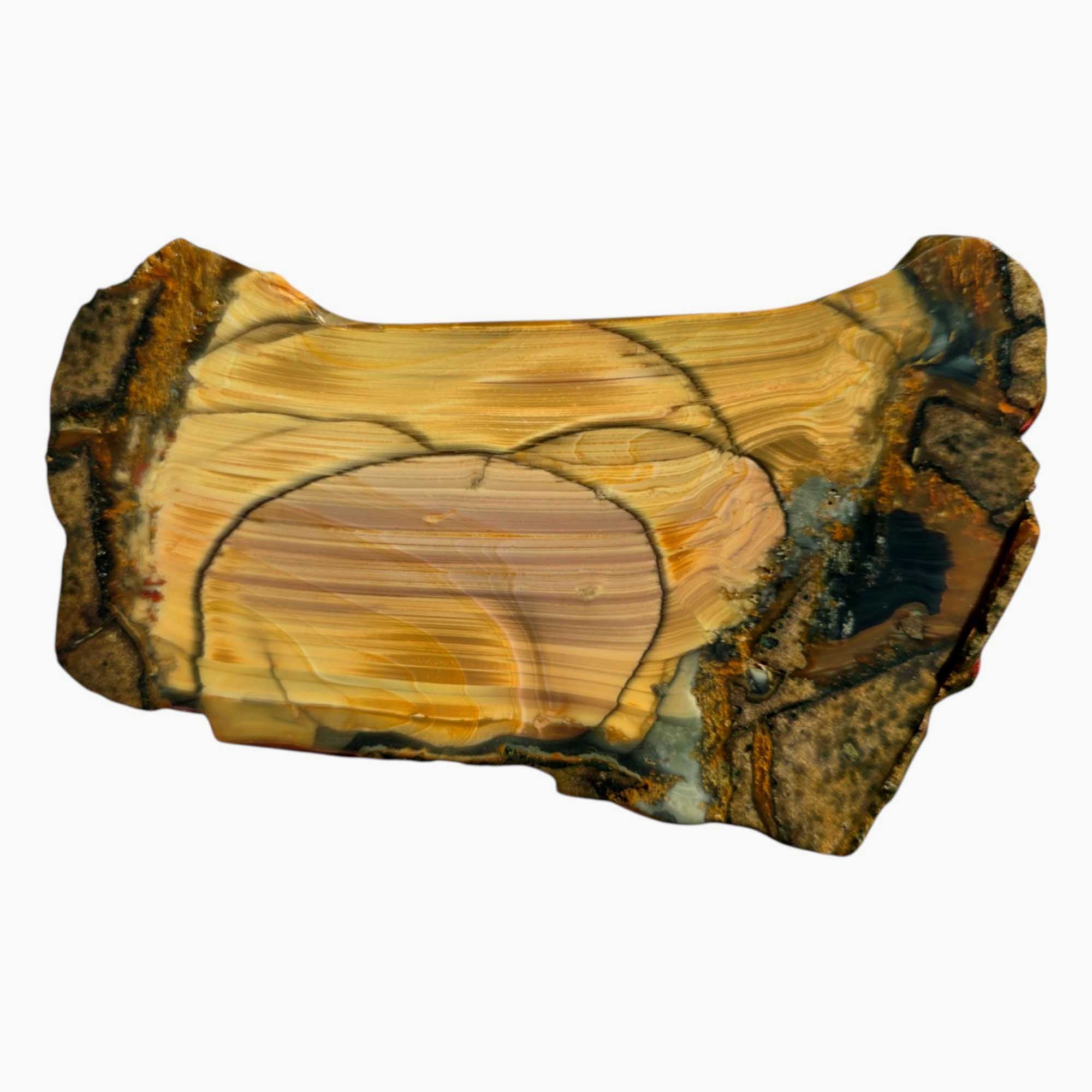 Blue Mountain Jasper Slab with Orbs & Paint Stroke Pattern – 5x3 Cut